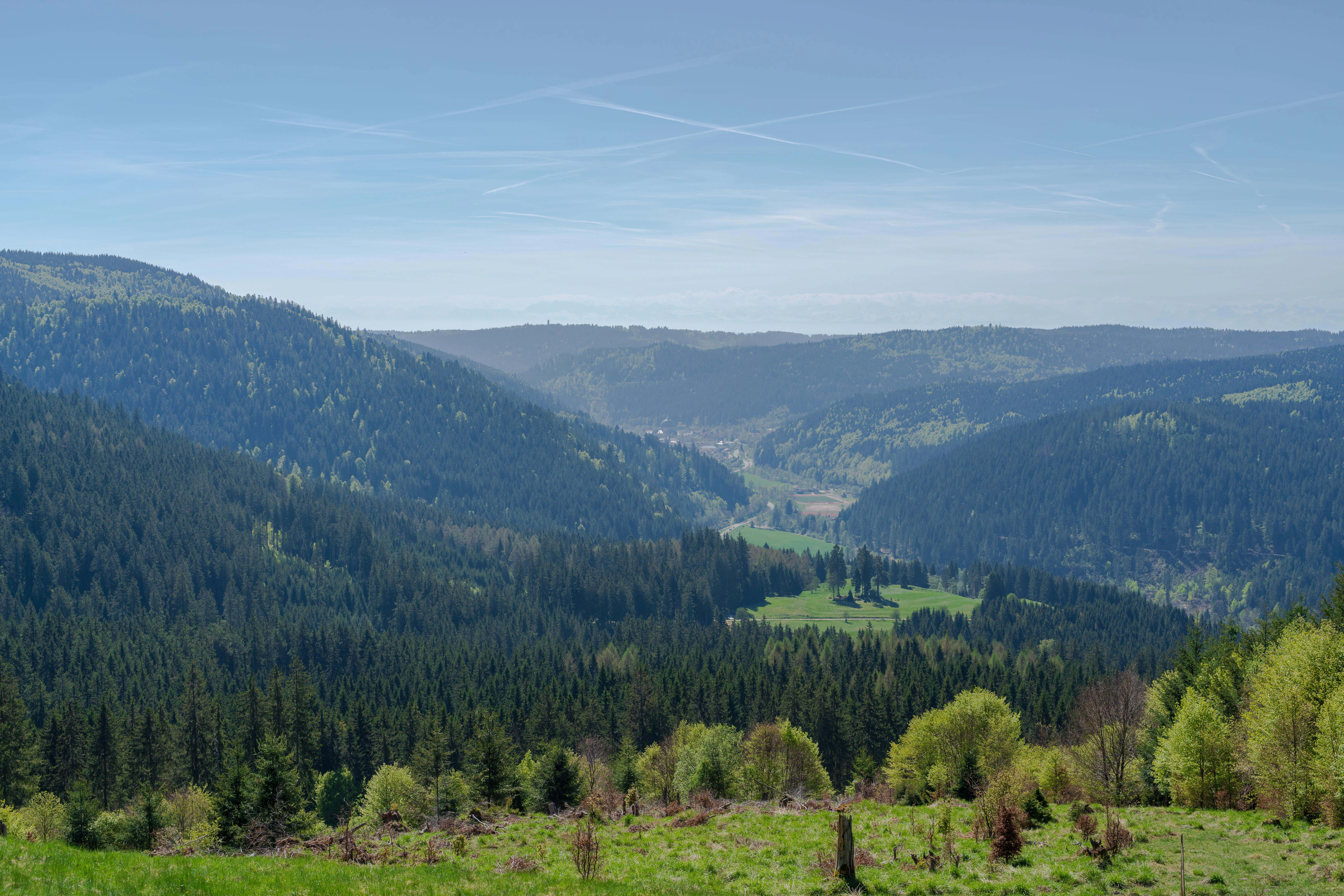 A wide, elevated view of a valley surrounded by dense coniferous forests and green hills under a bright sky.