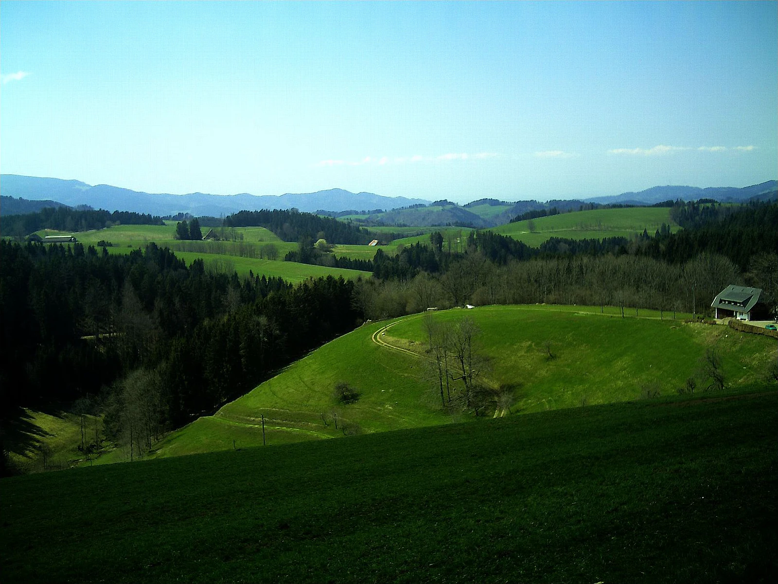 A wide landscape view of the Black Forest in April, showing lush green rolling hills, mixed evergreen and deciduous forest patches, and a small traditional farmhouse in the midground, with distant mountains under a blue sky.