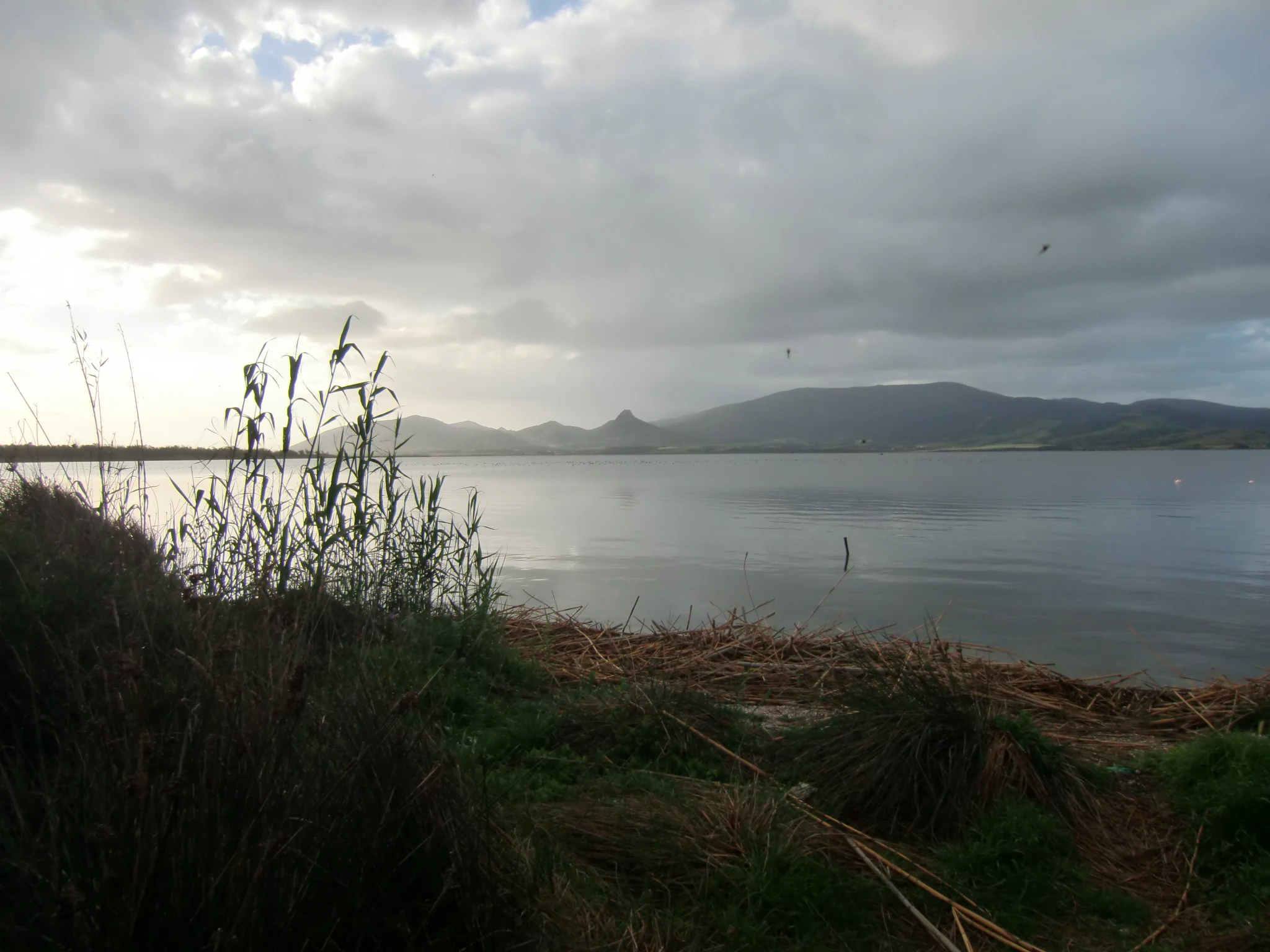 Wide landscape shot of a calm, reflective lagoon under a cloudy sky, with tall grasses in the foreground and distant hills.