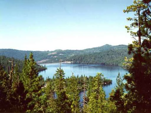 A wide, eye level view of a lake nestled within a dense coniferous forest and rolling hills, framed by tall pine trees on the sides.