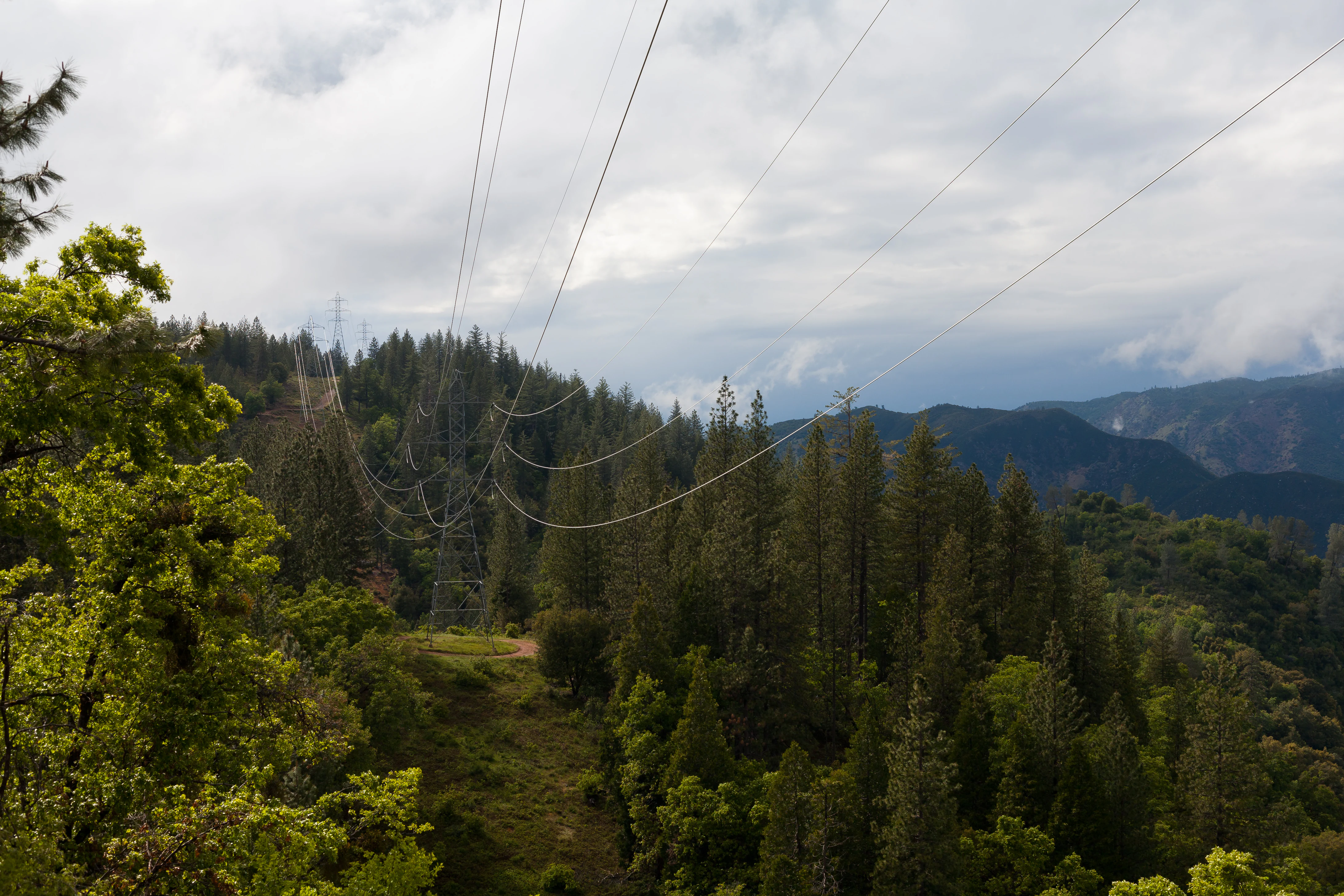 A wide landscape view of a coniferous forest in Stanislaus National Forest with large power lines stretching across the center of the frame against a backdrop of rolling hills and cloudy skies.