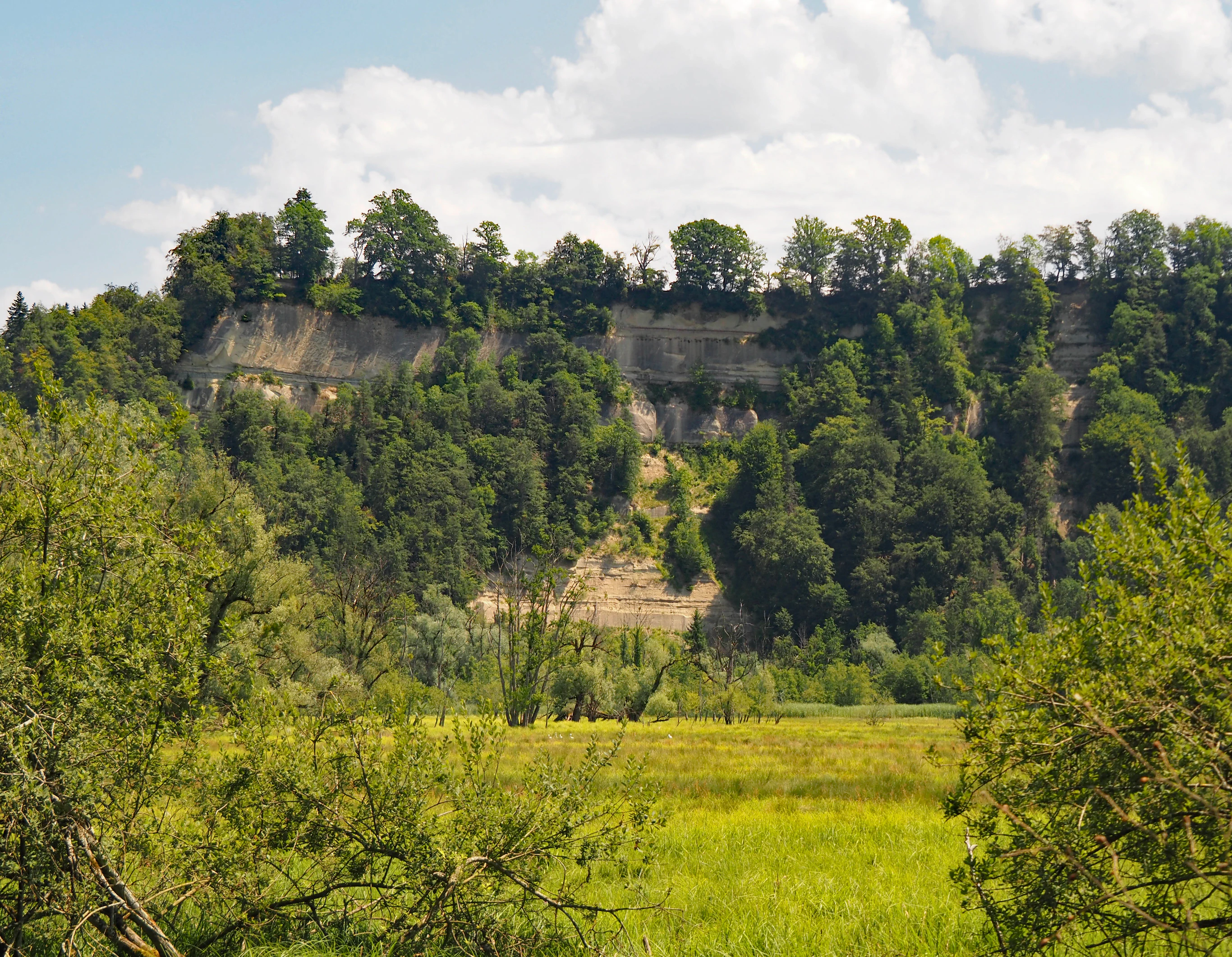 A view of steep, wooded cliffs rising above a grassy wetland and meadow under a cloudy sky.
