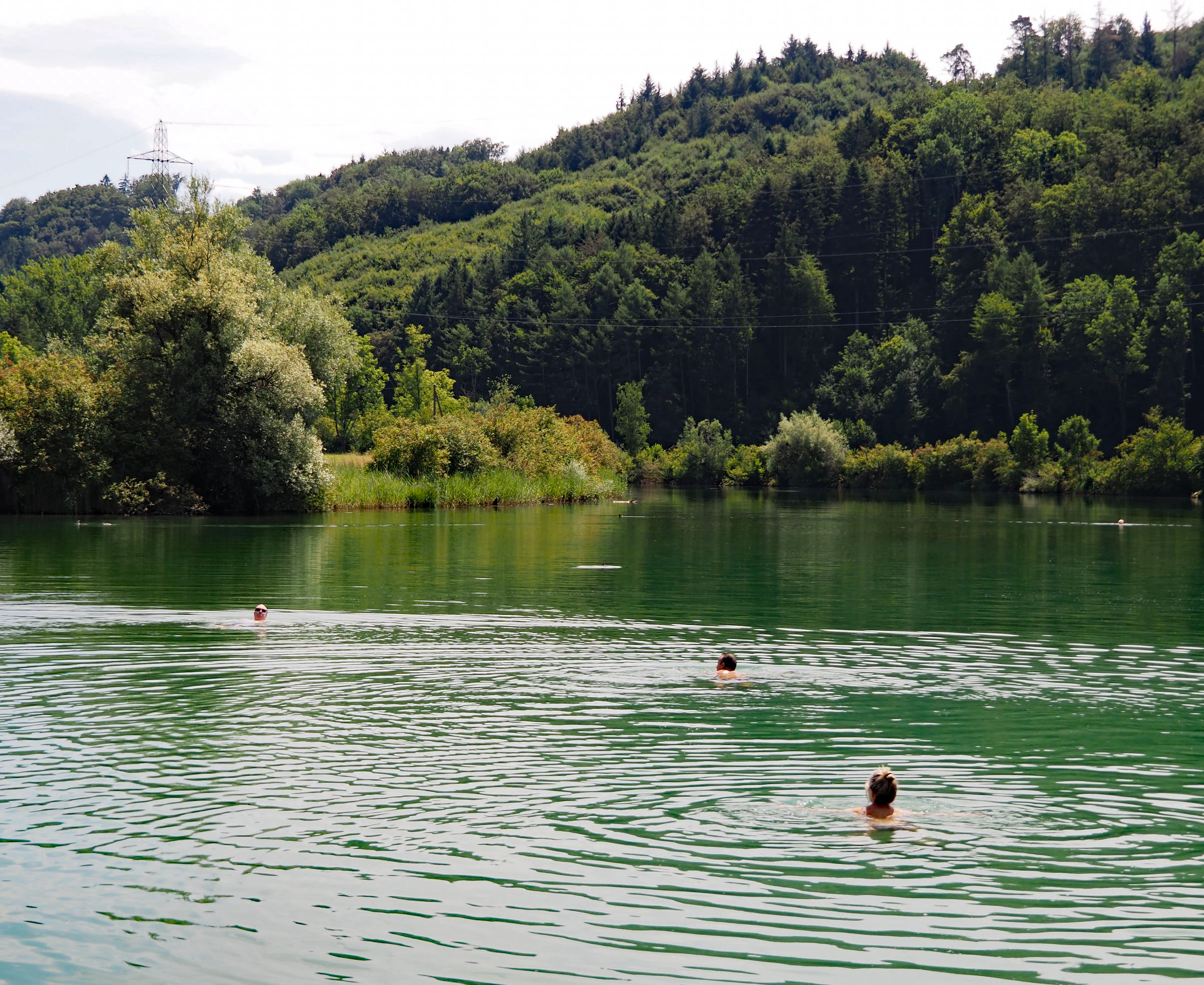A group of people swimming in a calm green lake surrounded by dense forest and trees, under an overcast sky.