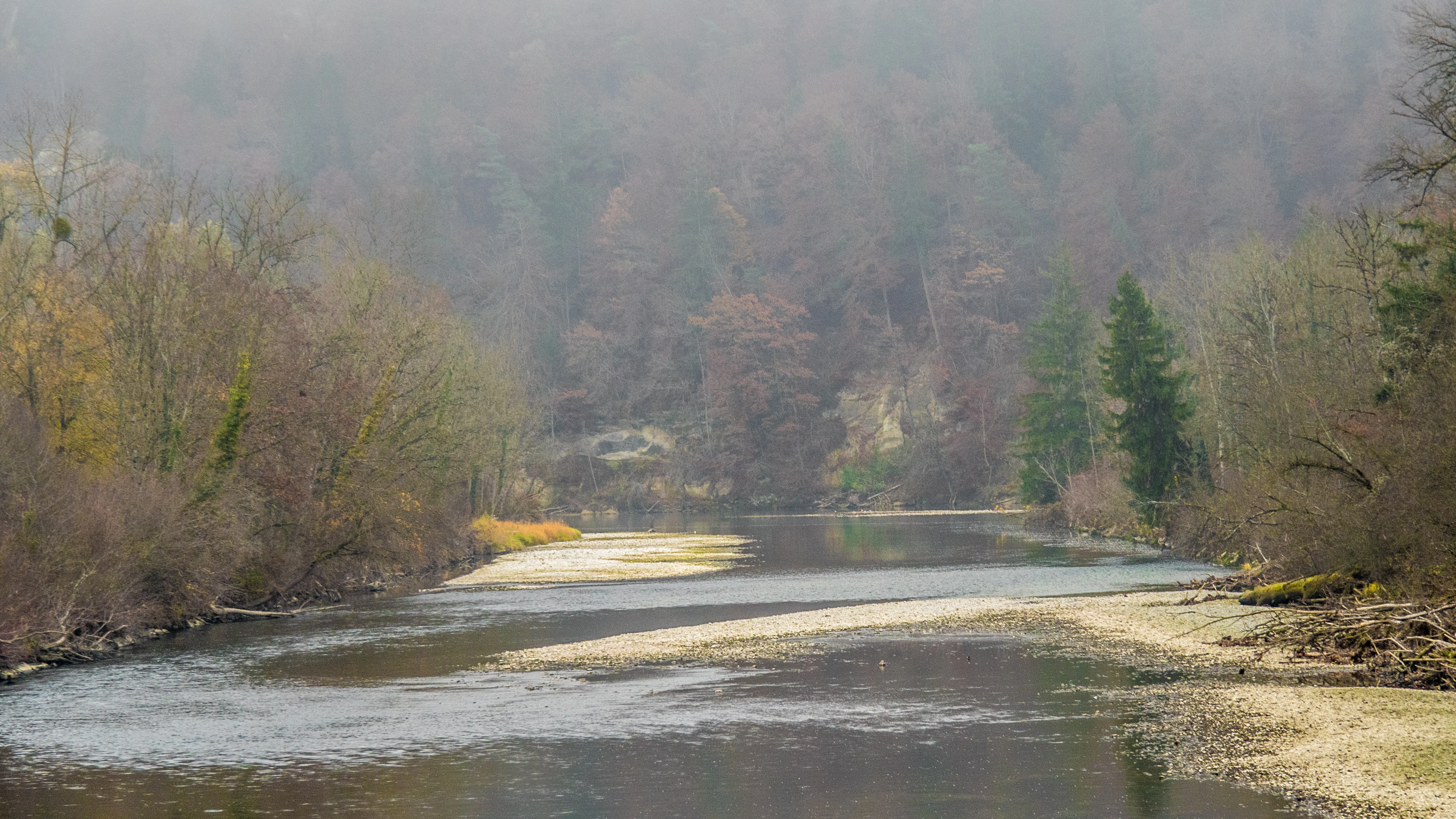 A wide, calm river flowing through a deciduous forest with light fog obscuring the trees in the background and exposed gravel riverbanks in the foreground.