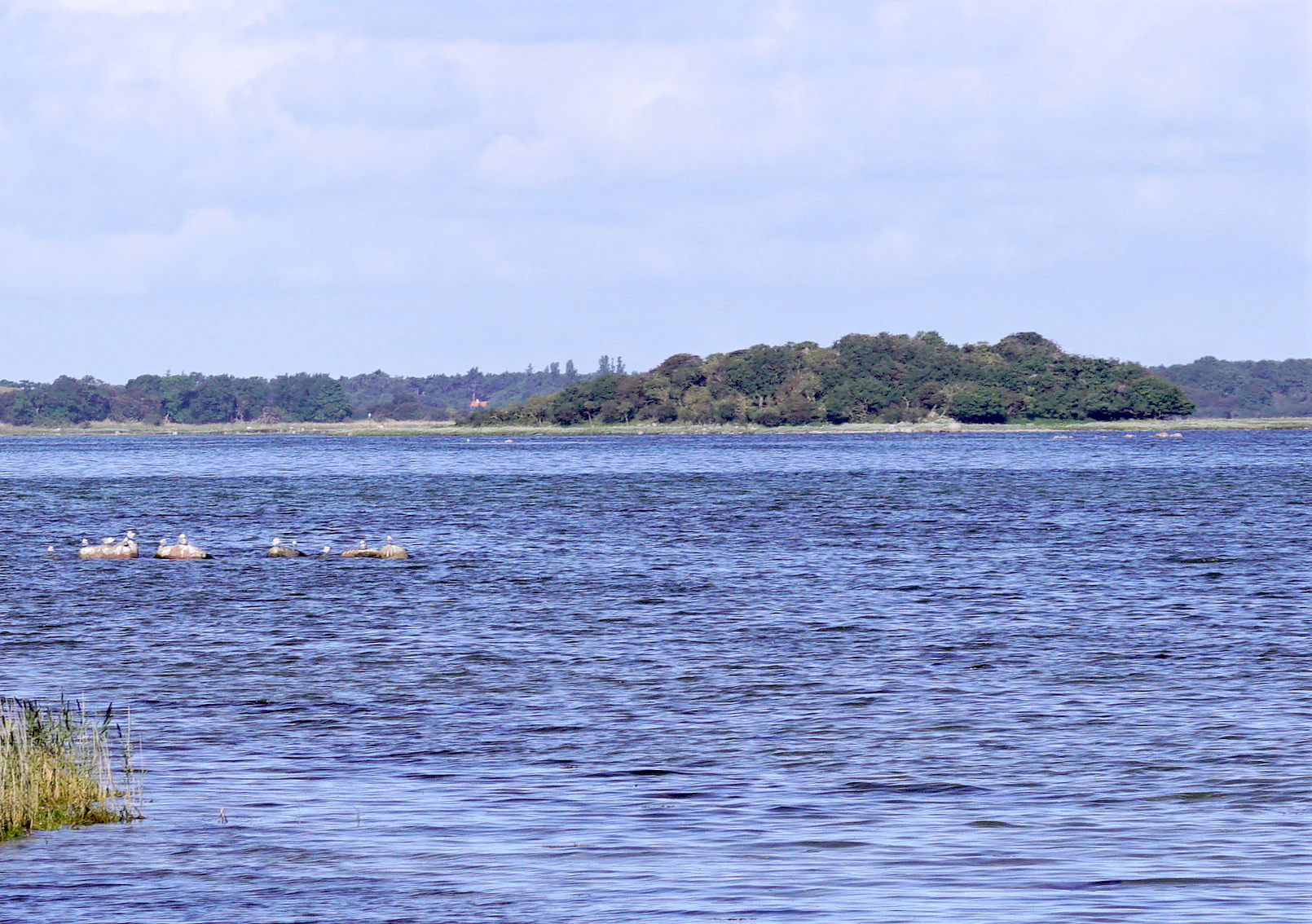 A view across the calm blue water of Stavns Fjord towards the small, tree-covered island of Eskeholm in the distance under a partly cloudy sky.