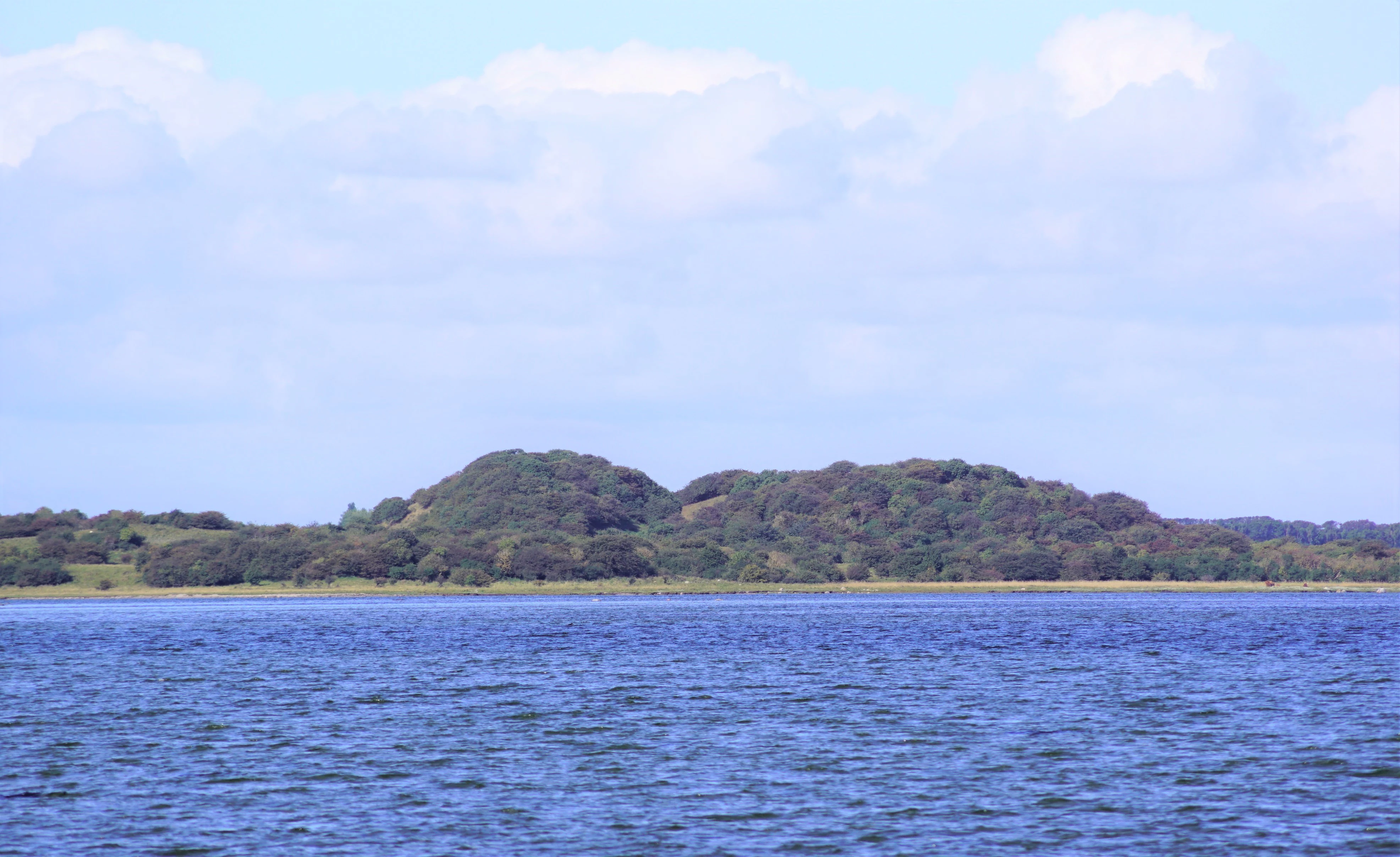 A horizontal landscape photograph showing calm blue fjord water in the foreground, with a low-lying, tree-covered, hilly island or point of land in the midground under a bright sky.