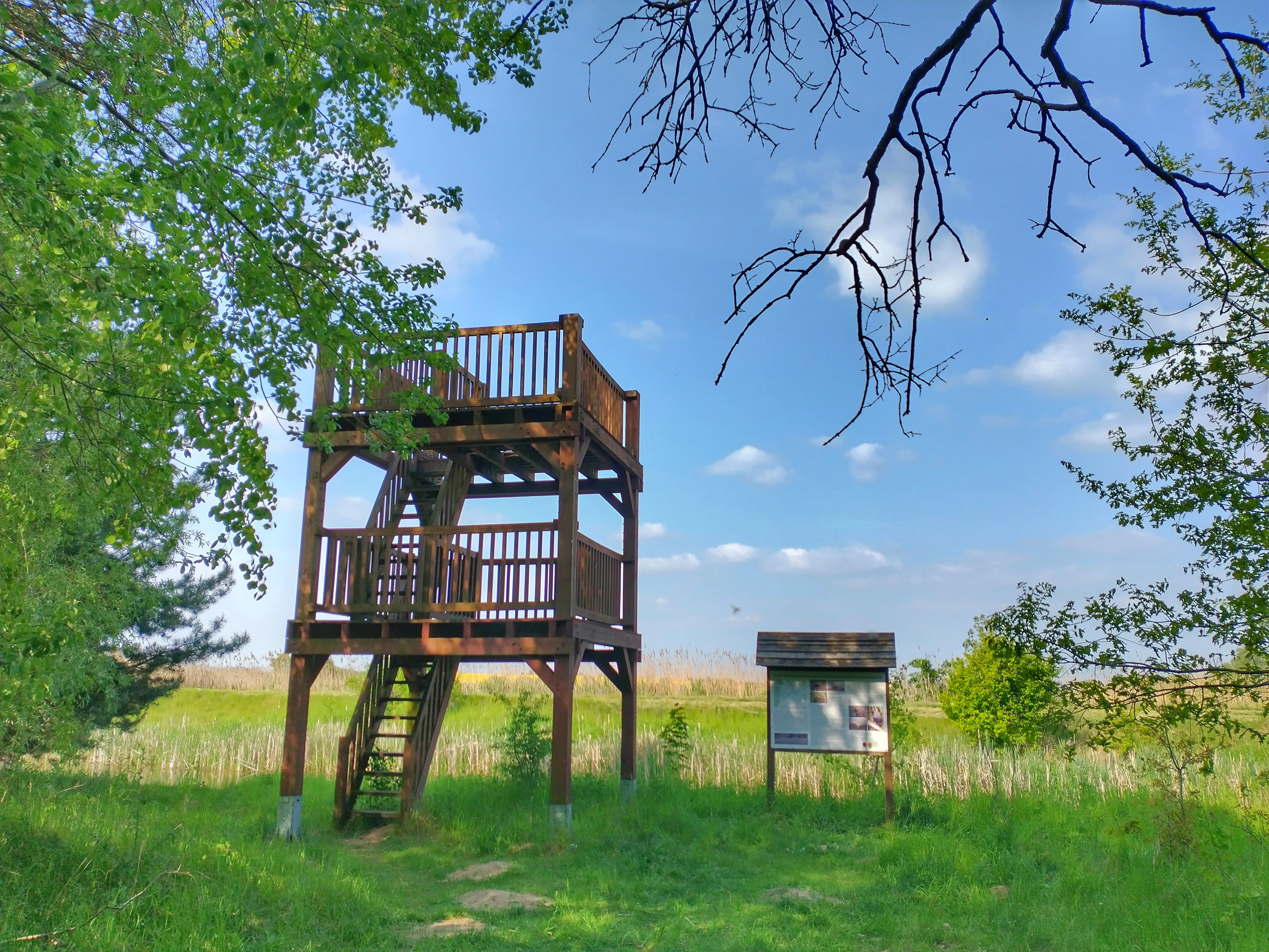 A two-story wooden observation tower standing in a grassy meadow next to a pond, with an information sign board nearby and a clear blue sky above.