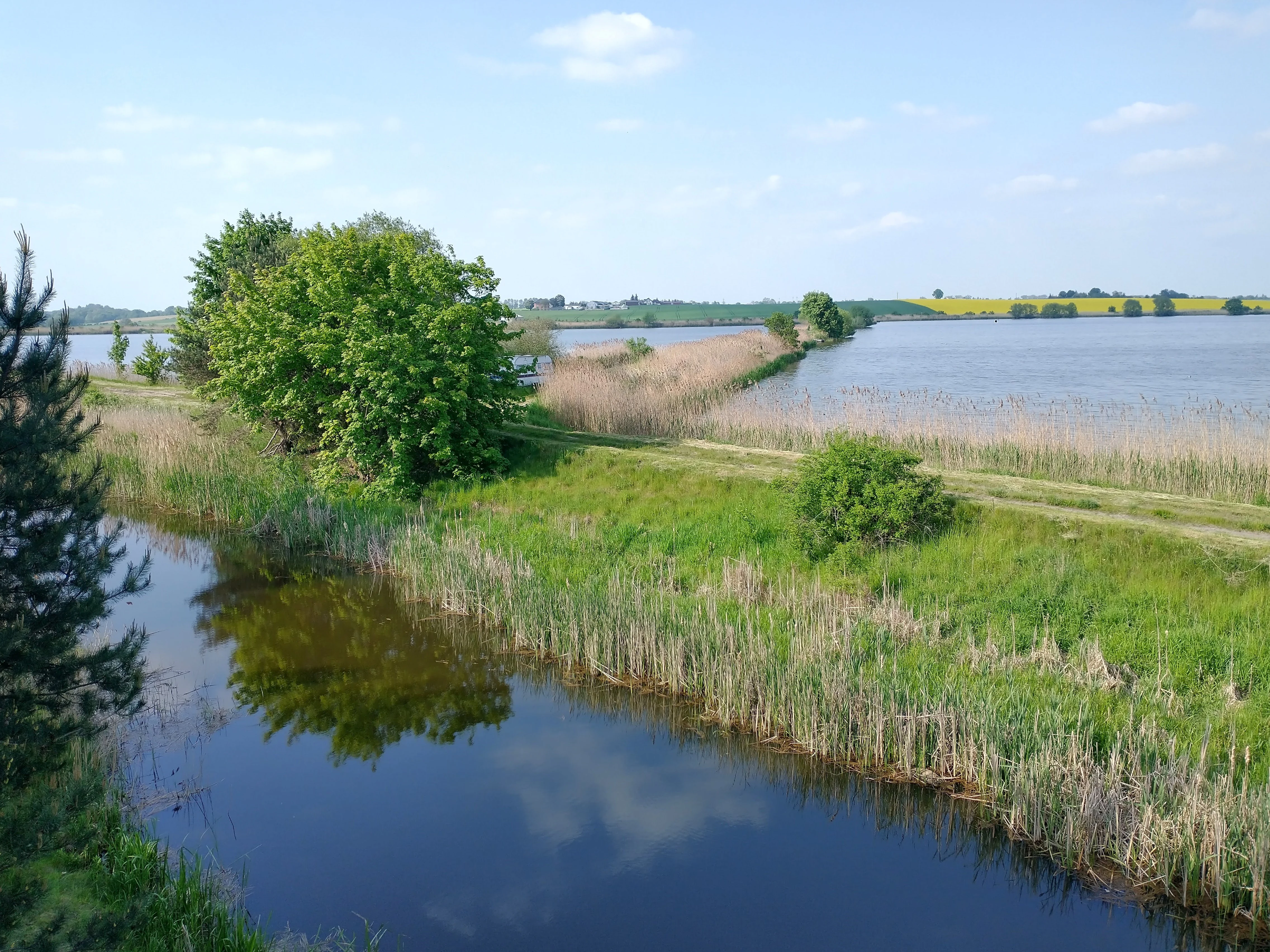 A wide shot of calm, dark water in a pond bordered by green grass, reeds, and leafy trees, with a distant treeline and blue sky in the background.