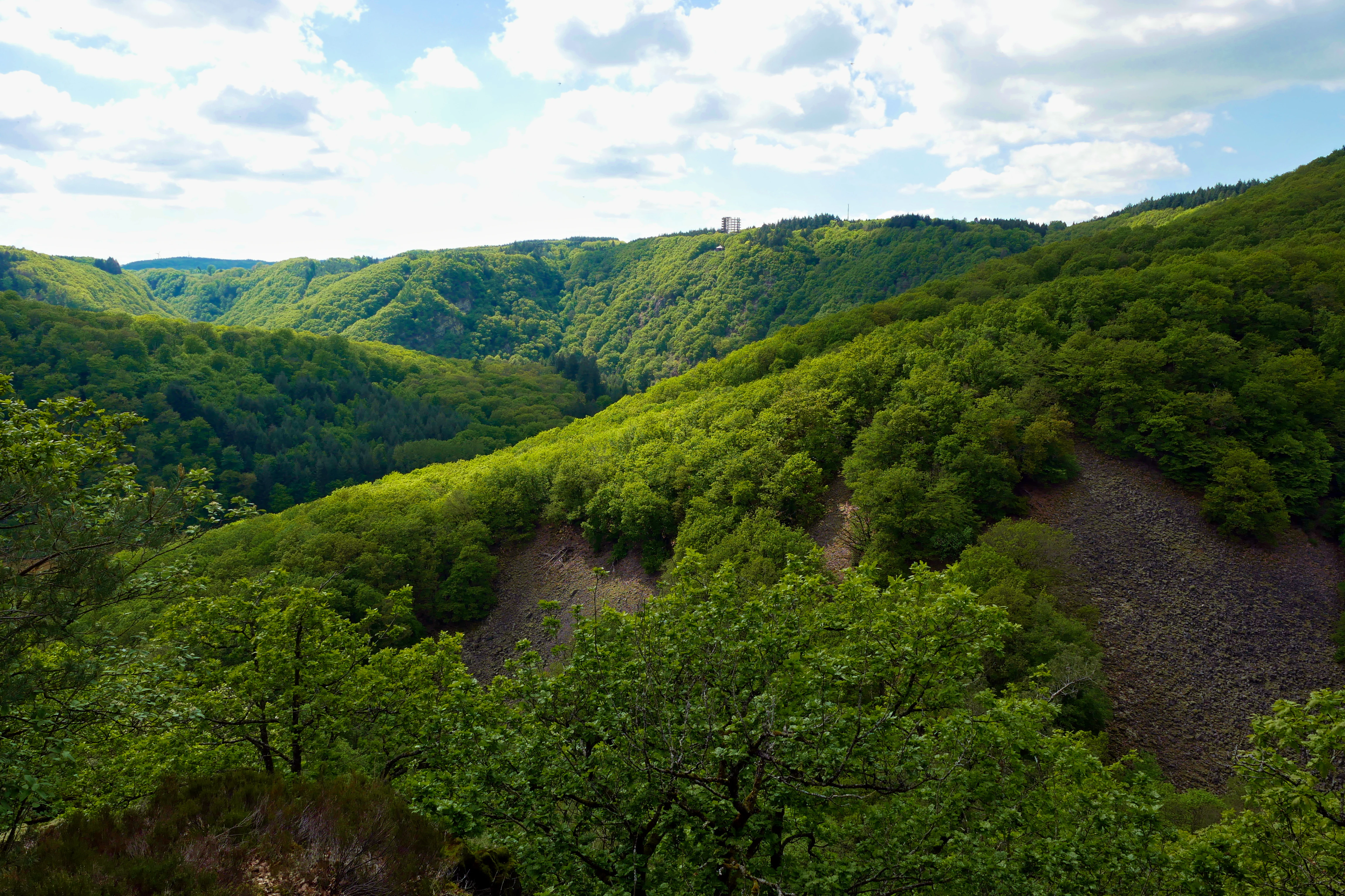 A wide view of a lush green forest covering steep hillsides, with visible grey boulder slopes, under a sky with scattered clouds.