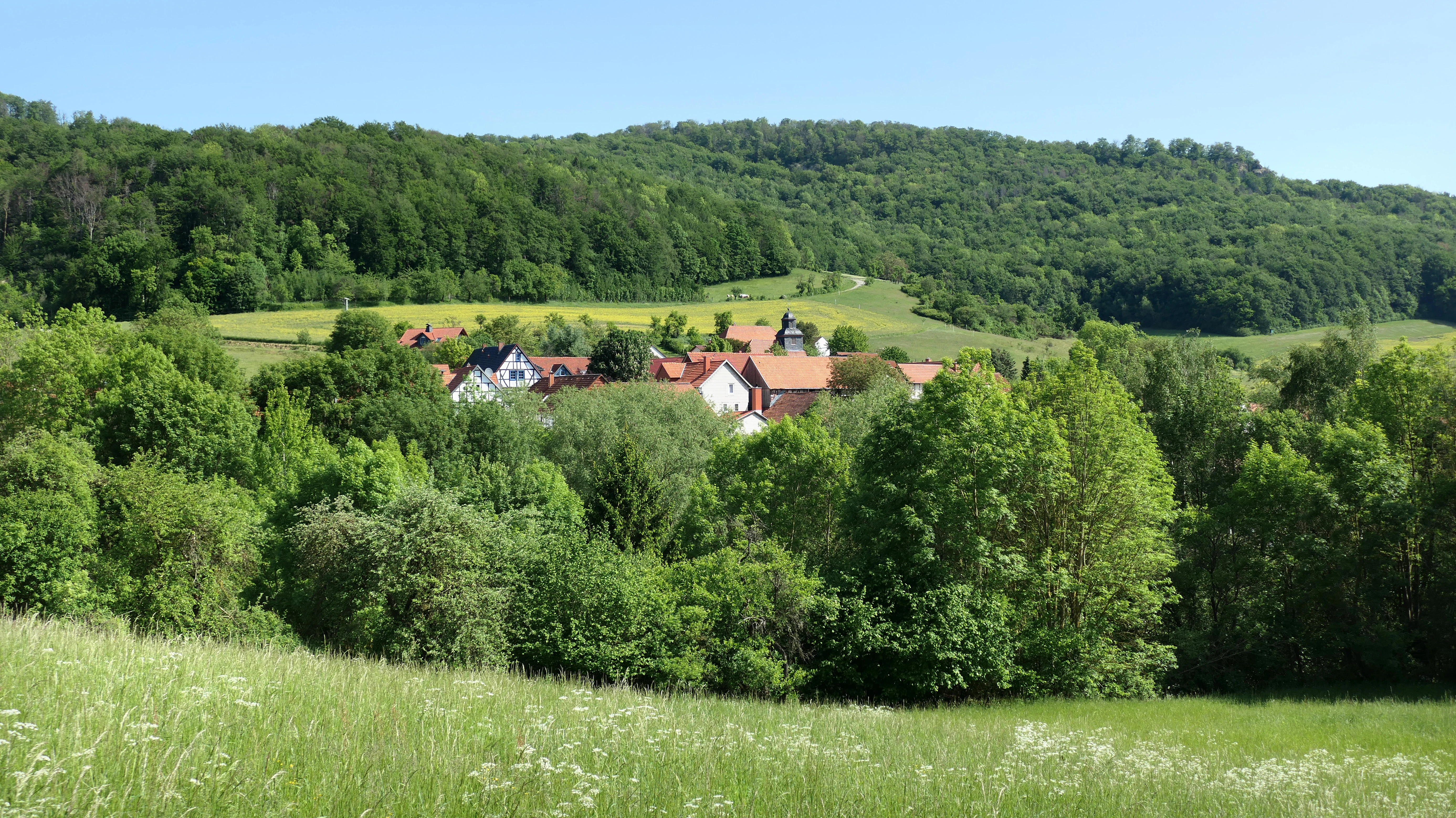 A landscape view of a forested hill with a small village of red-roofed houses nestled in the valley, seen from a grassy meadow.