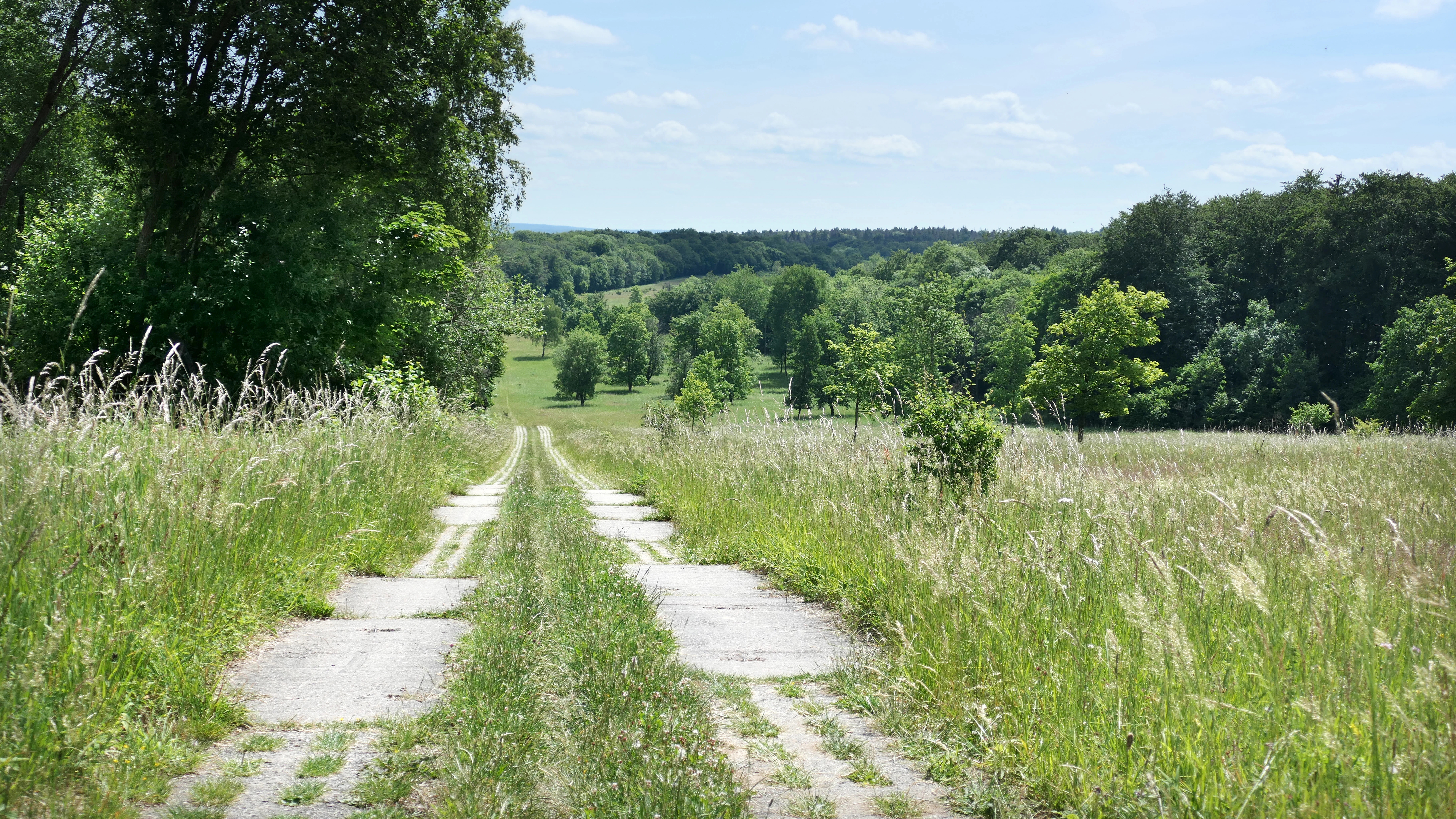 A straight concrete slab path with grass growing between the panels, running through a green meadow flanked by trees, leading toward forested rolling hills under a partly cloudy blue sky