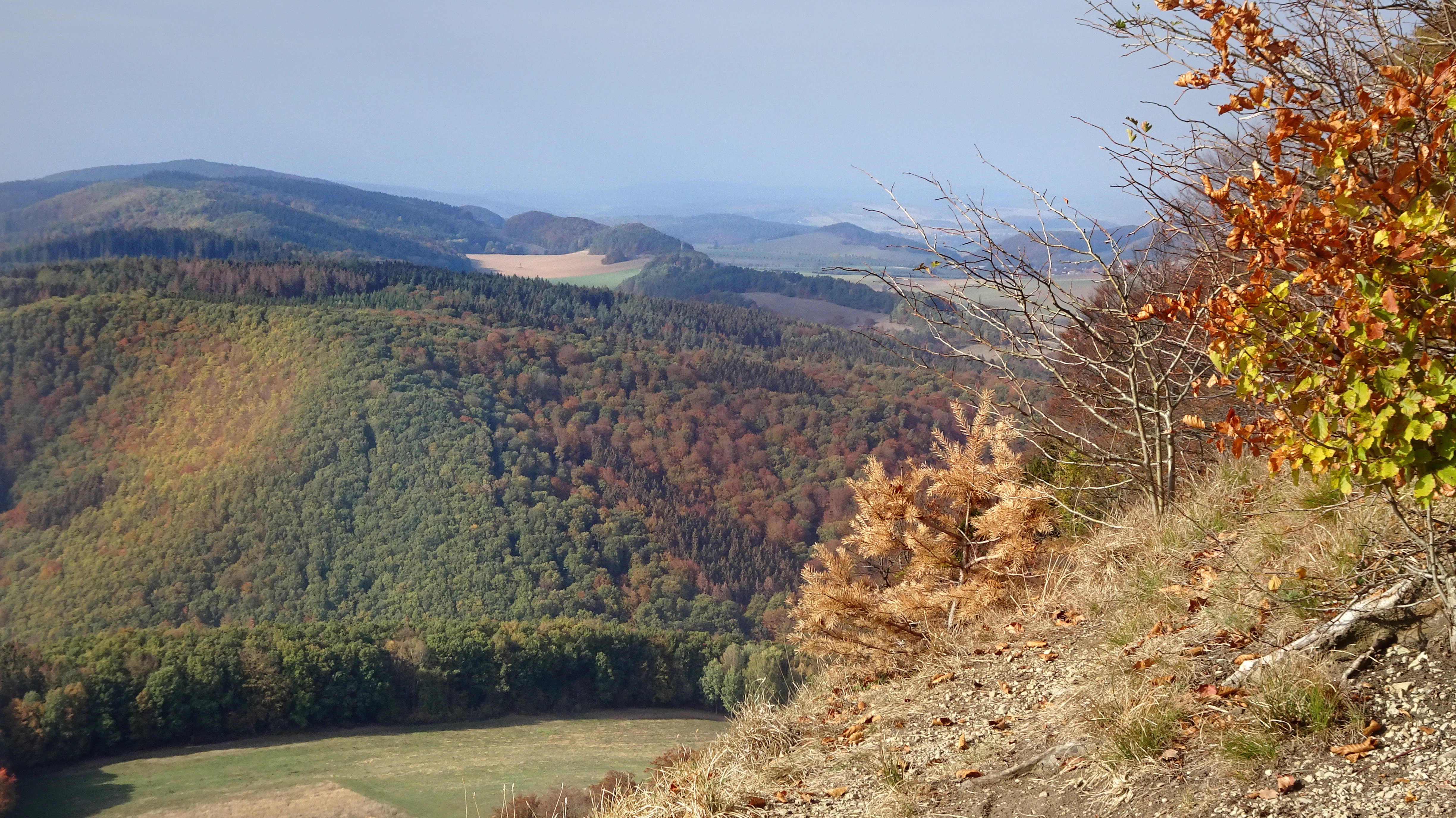 Wide landscape photograph showing a rocky cliff edge with autumn-colored trees in the foreground, overlooking forested hills and distant mountain ridges under a clear sky.