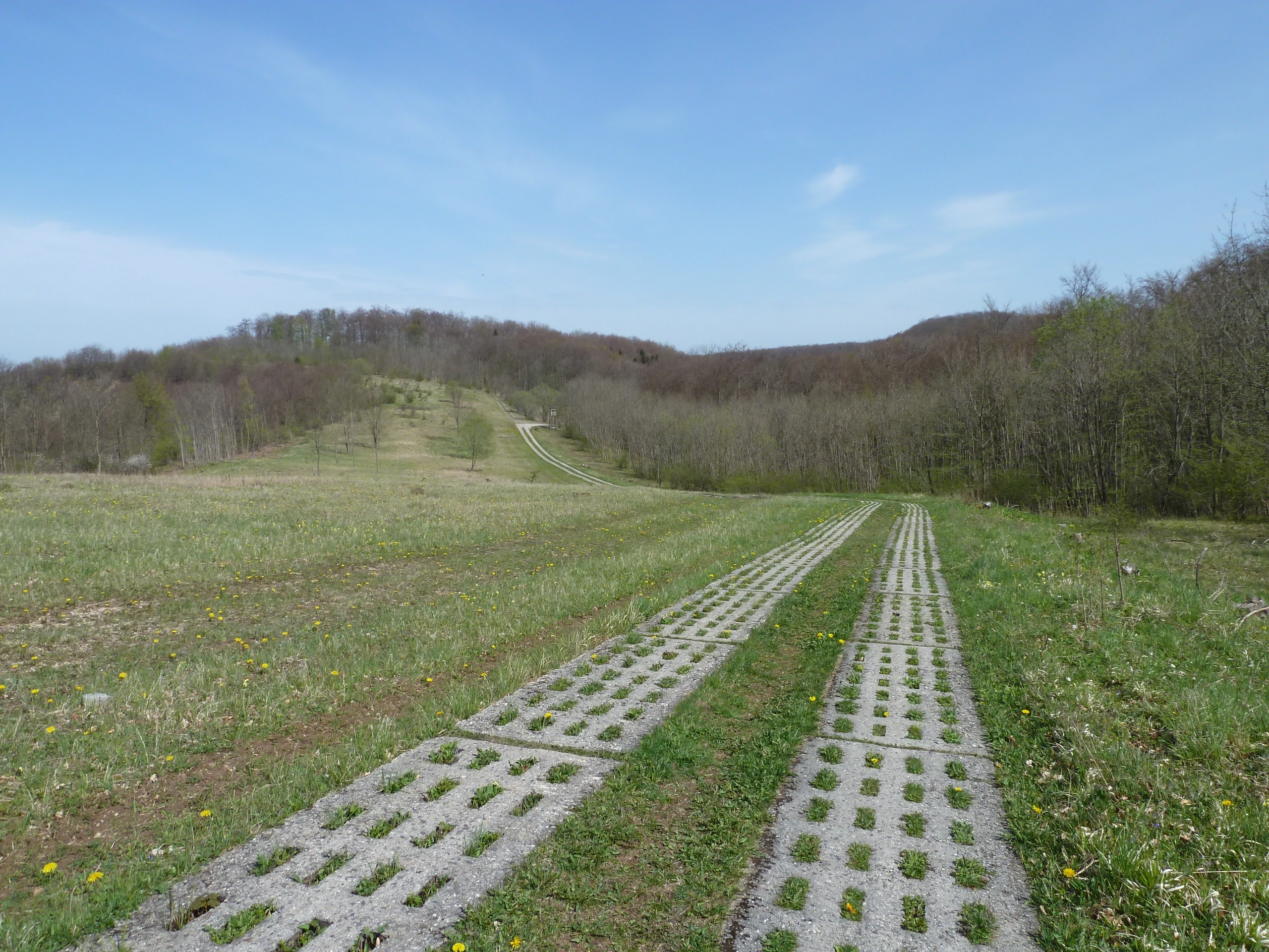 A wide, grassy meadow landscape with a path made of perforated concrete paving blocks leading toward a distant forested hill under a clear blue sky.