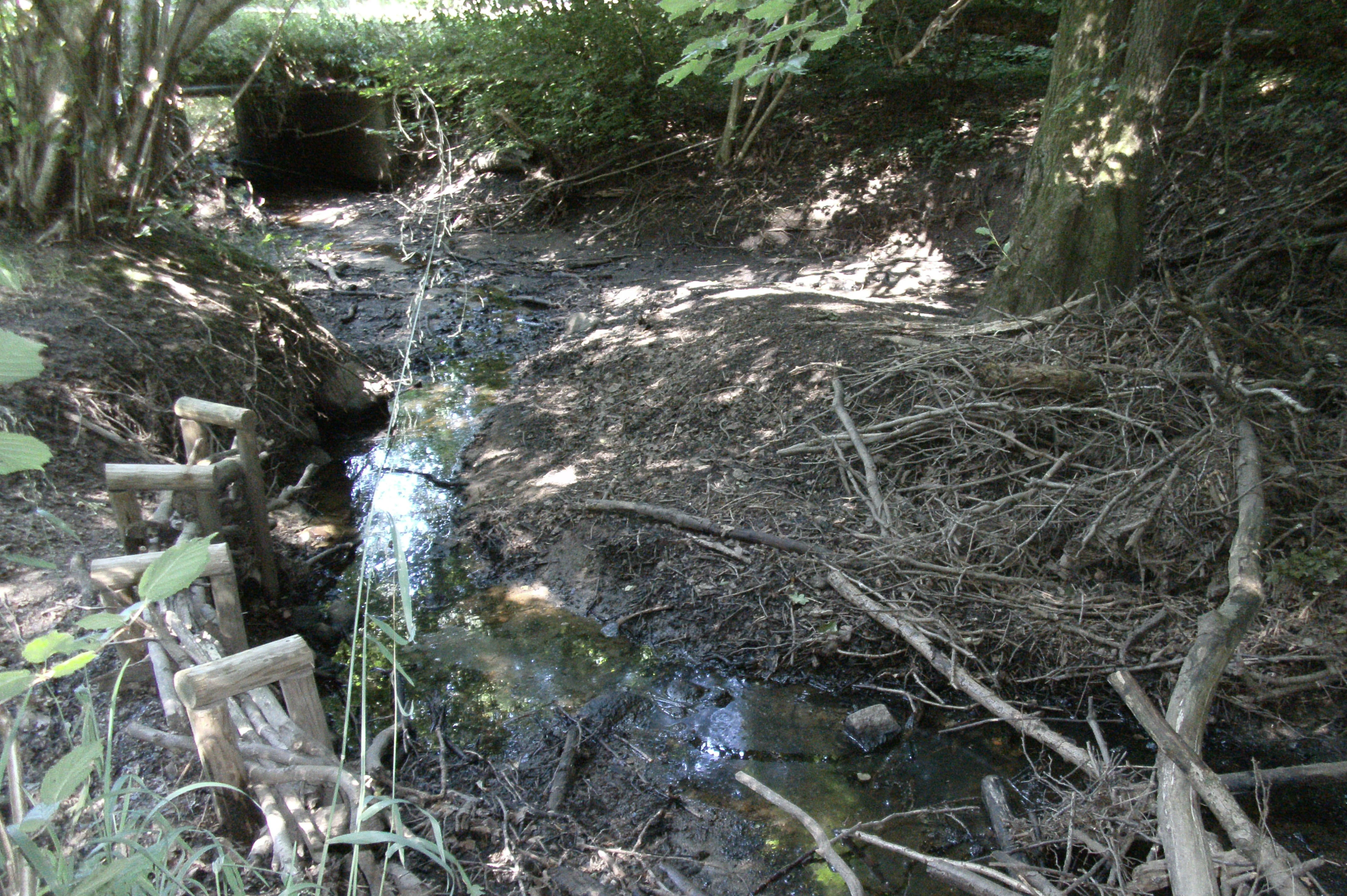 A small, narrow stream flows through a shaded woodland area with tree roots, fallen branches, and wooden bank stabilization structures visible.