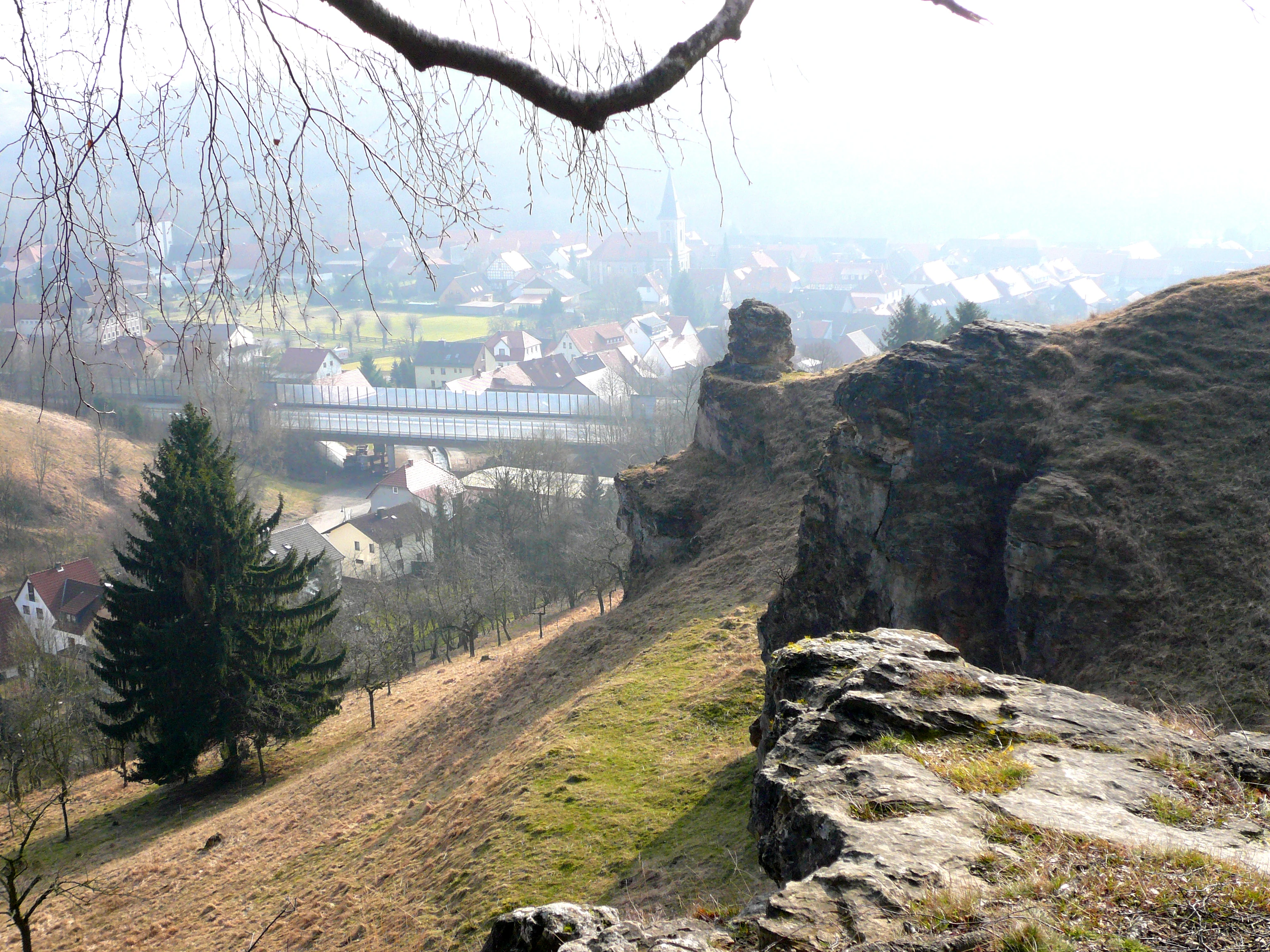 A high-angle view looking down a grassy, rocky hillside with a large evergreen tree on the left, overlooking a village in the misty valley below.