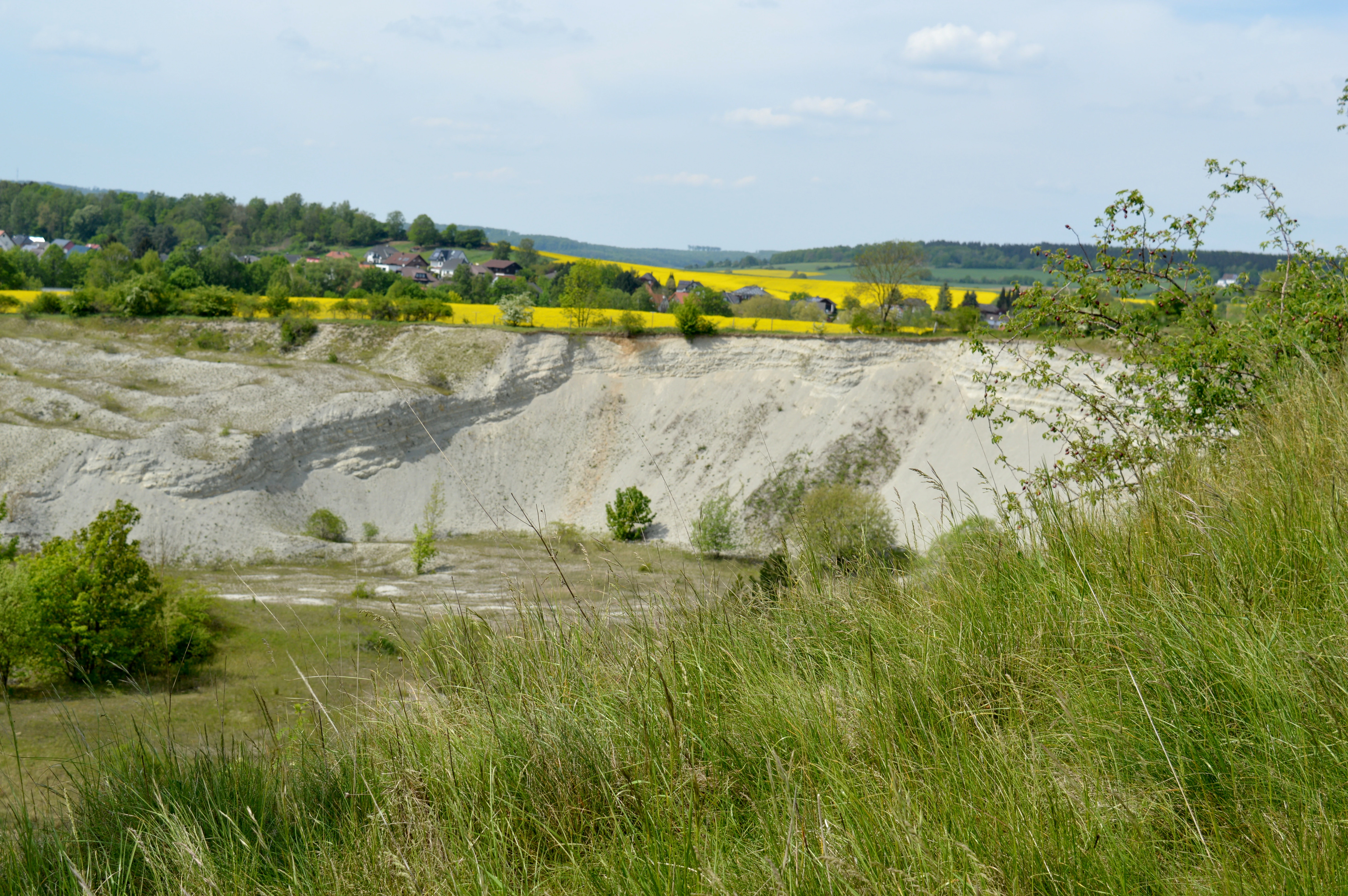 A wide shot of a limestone quarry with light-colored exposed rock faces, grassy foreground, and a field of yellow flowers in the distance.