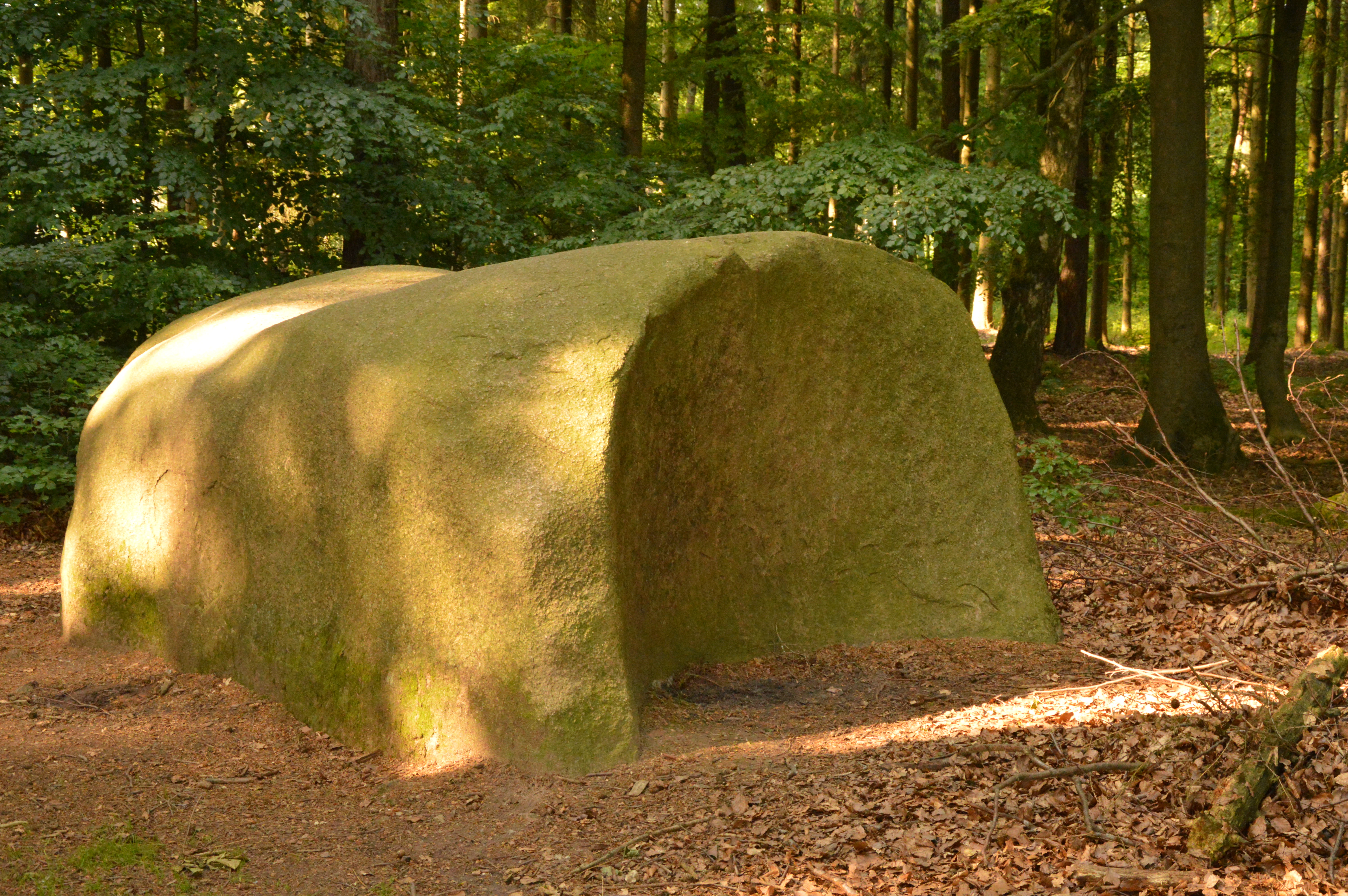 A large, smooth, moss-covered rock formation shaped like a loaf of bread sits on a forest floor covered in brown leaves, surrounded by trees.