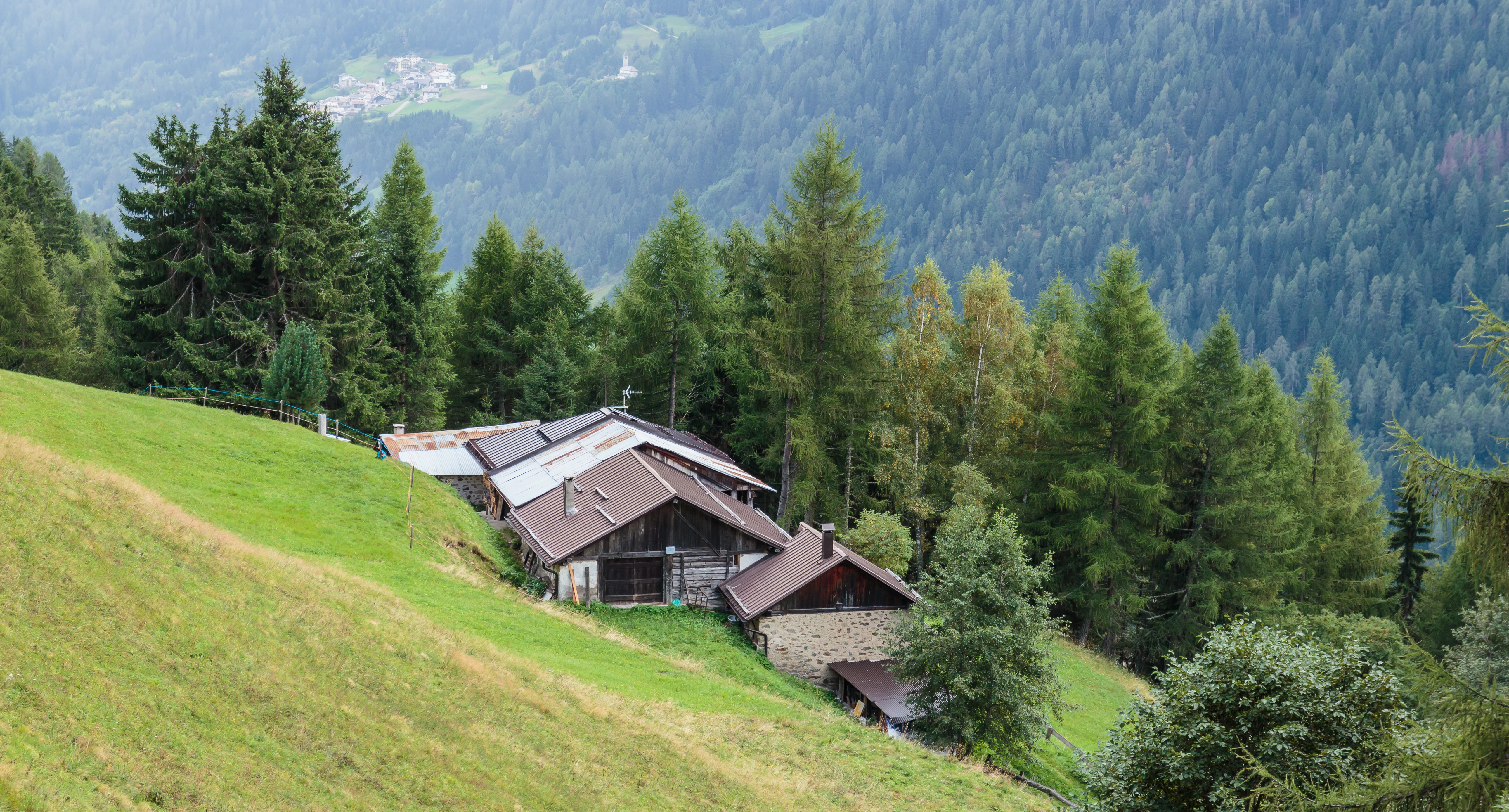 Traditional alpine houses on a grassy hillside in Stelvio National Park, surrounded by dense forests and mountainous terrain