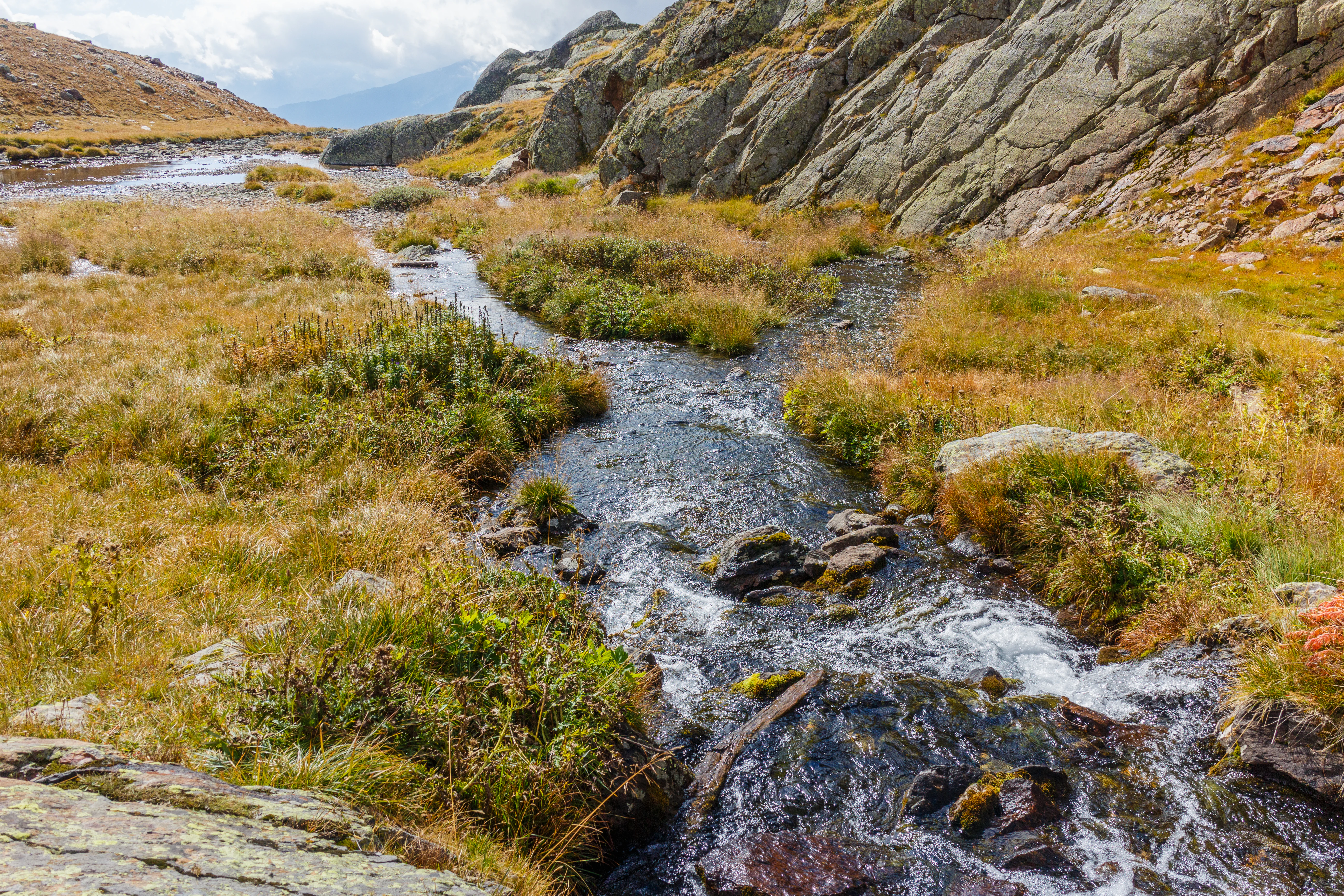 Stream flowing through grassy alpine meadows with rocky mountain slopes in the background