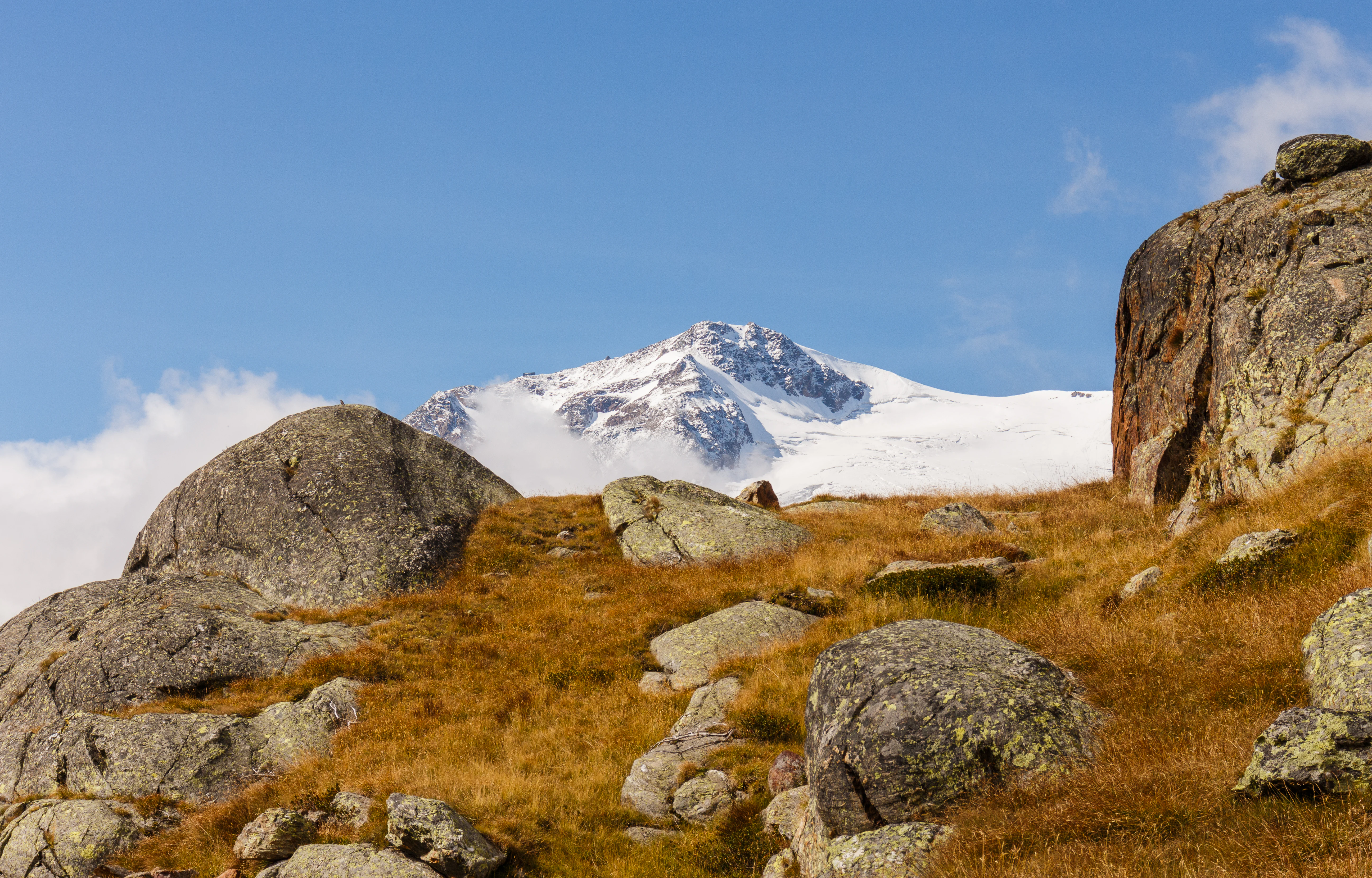 Rocky hillside with patches of brown grass under a clear blue sky, featuring a snow-capped mountain peak in the background