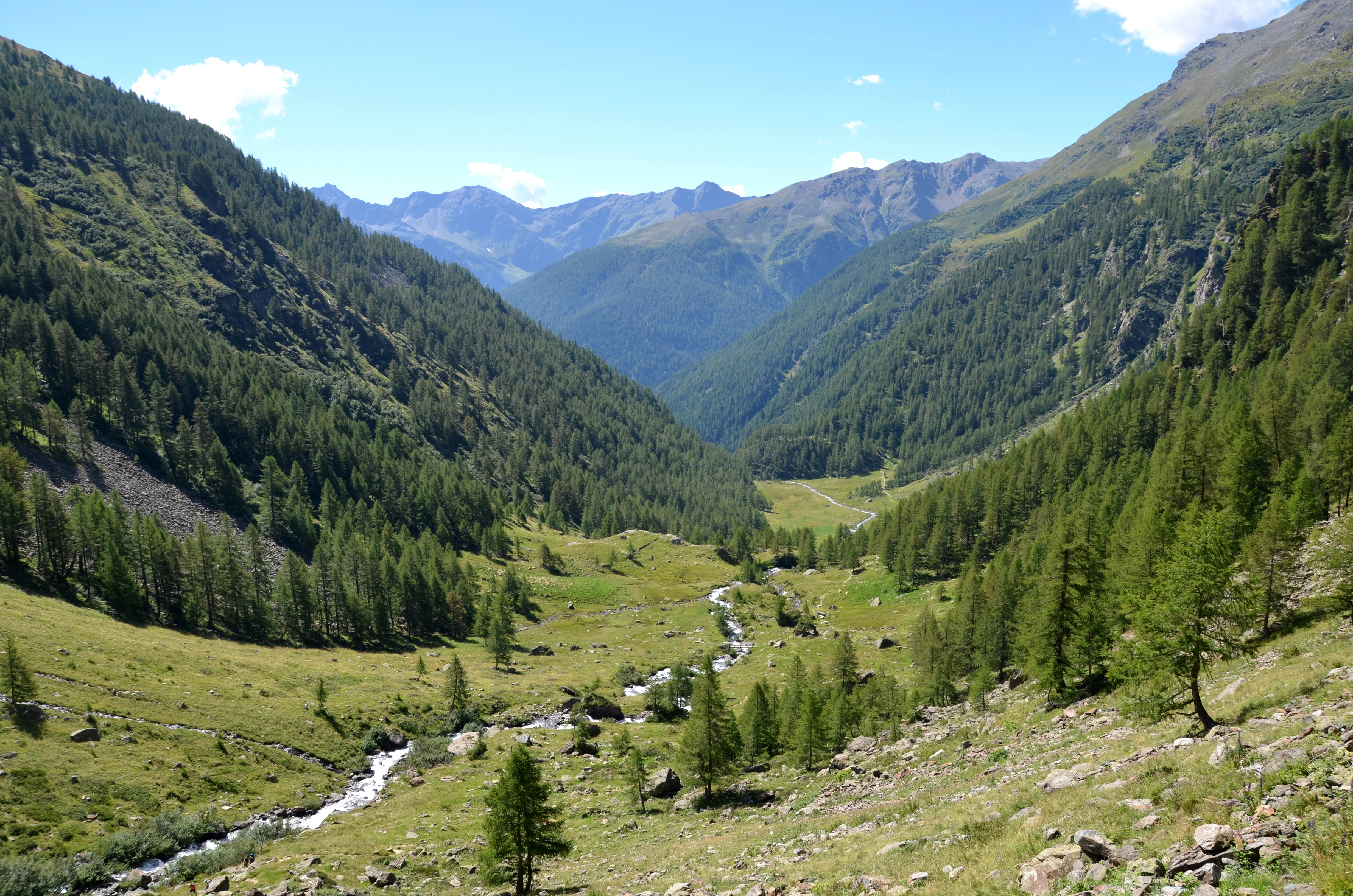 Wide alpine valley with a meandering river, forested slopes, and mountain peaks under a clear blue sky