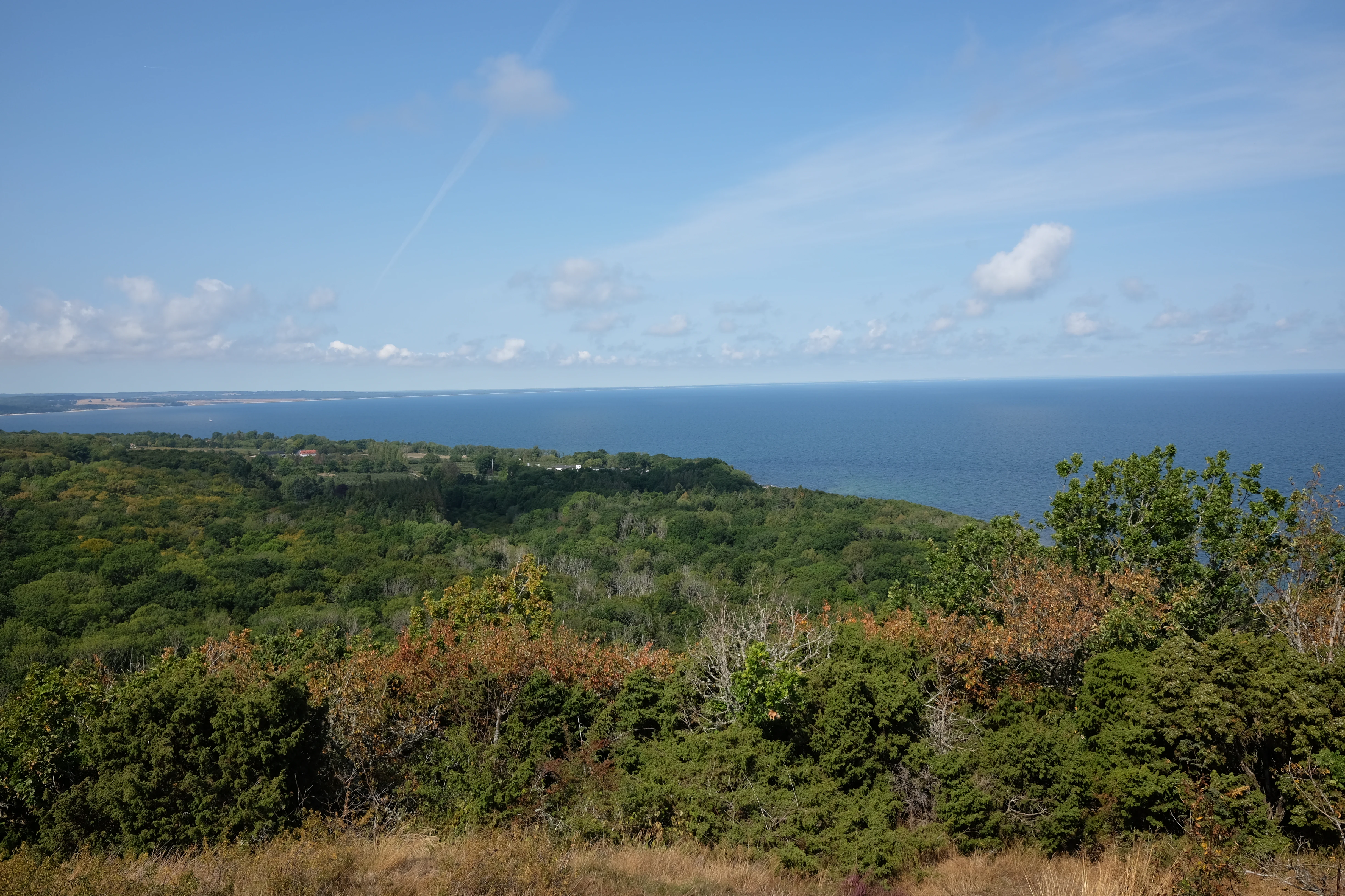 Landscape view showing dense forested area leading to the Baltic Sea with clear blue sky