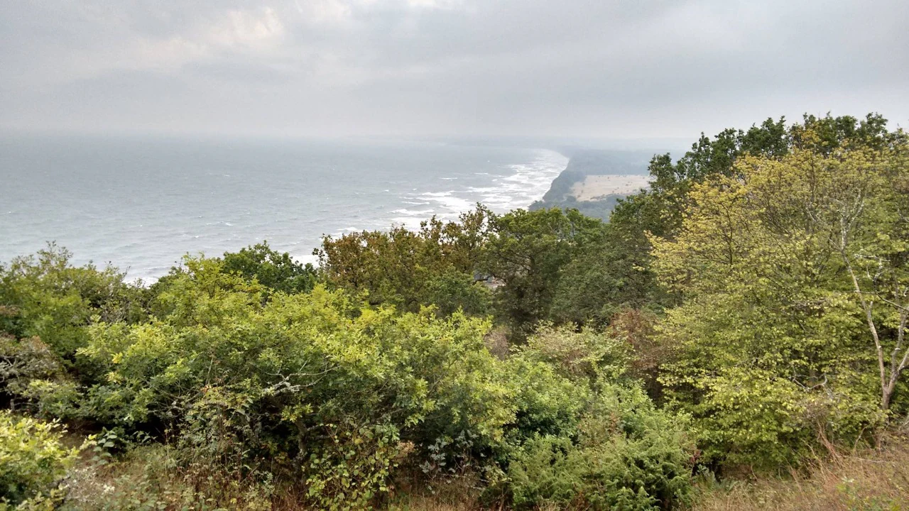 A coastal landscape with dense green foliage in the foreground, overlooking a body of water under an overcast sky