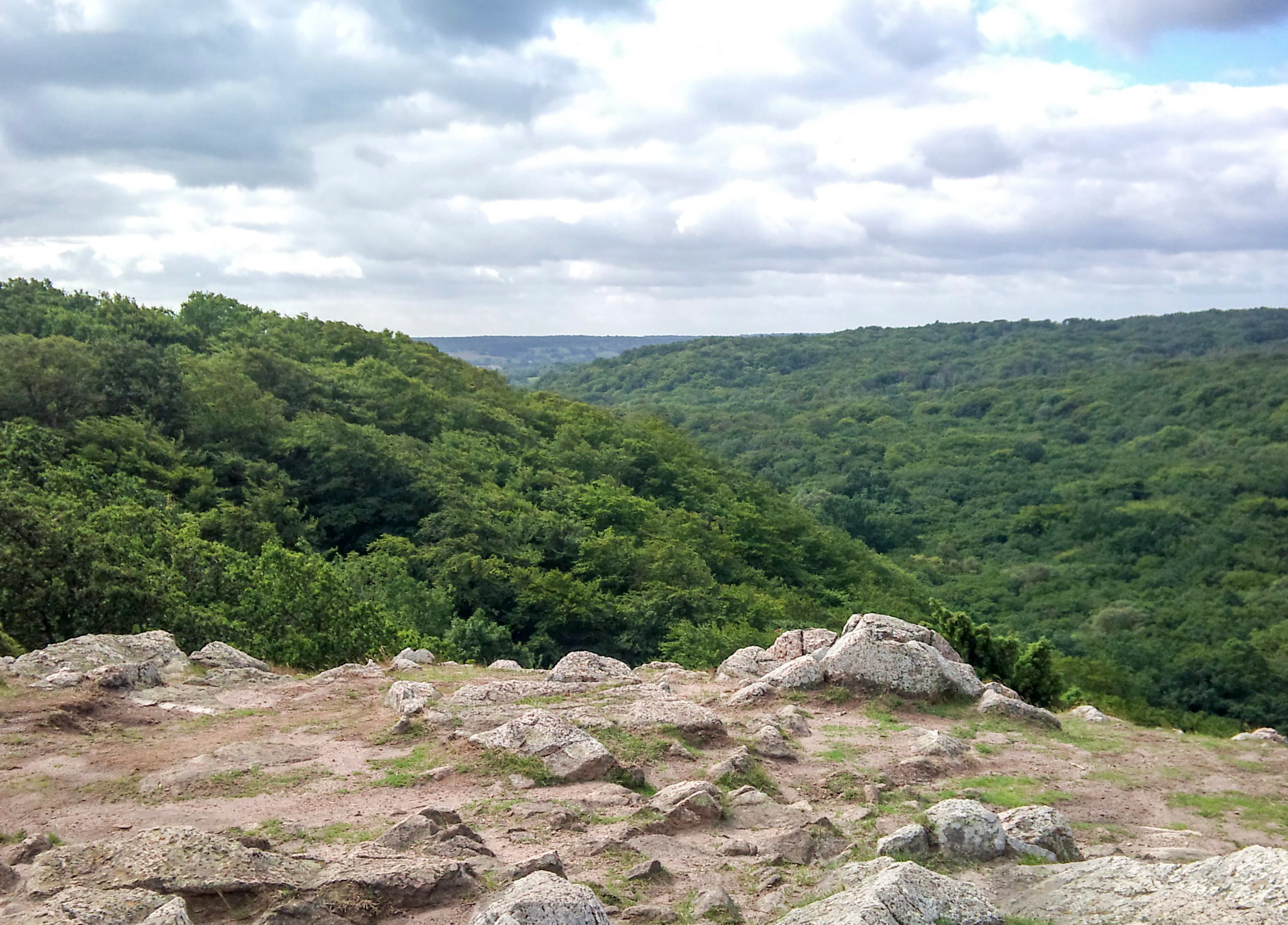 Rocky terrain with patches of grass in the foreground leading to a deep valley covered in dense green forest under a partly cloudy sky