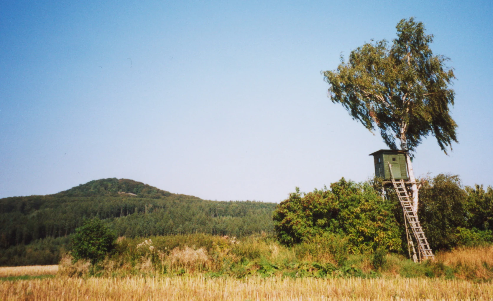 A distant, forested hill under a clear blue sky, with a wooden raised hunting platform built into a tree in the foreground.