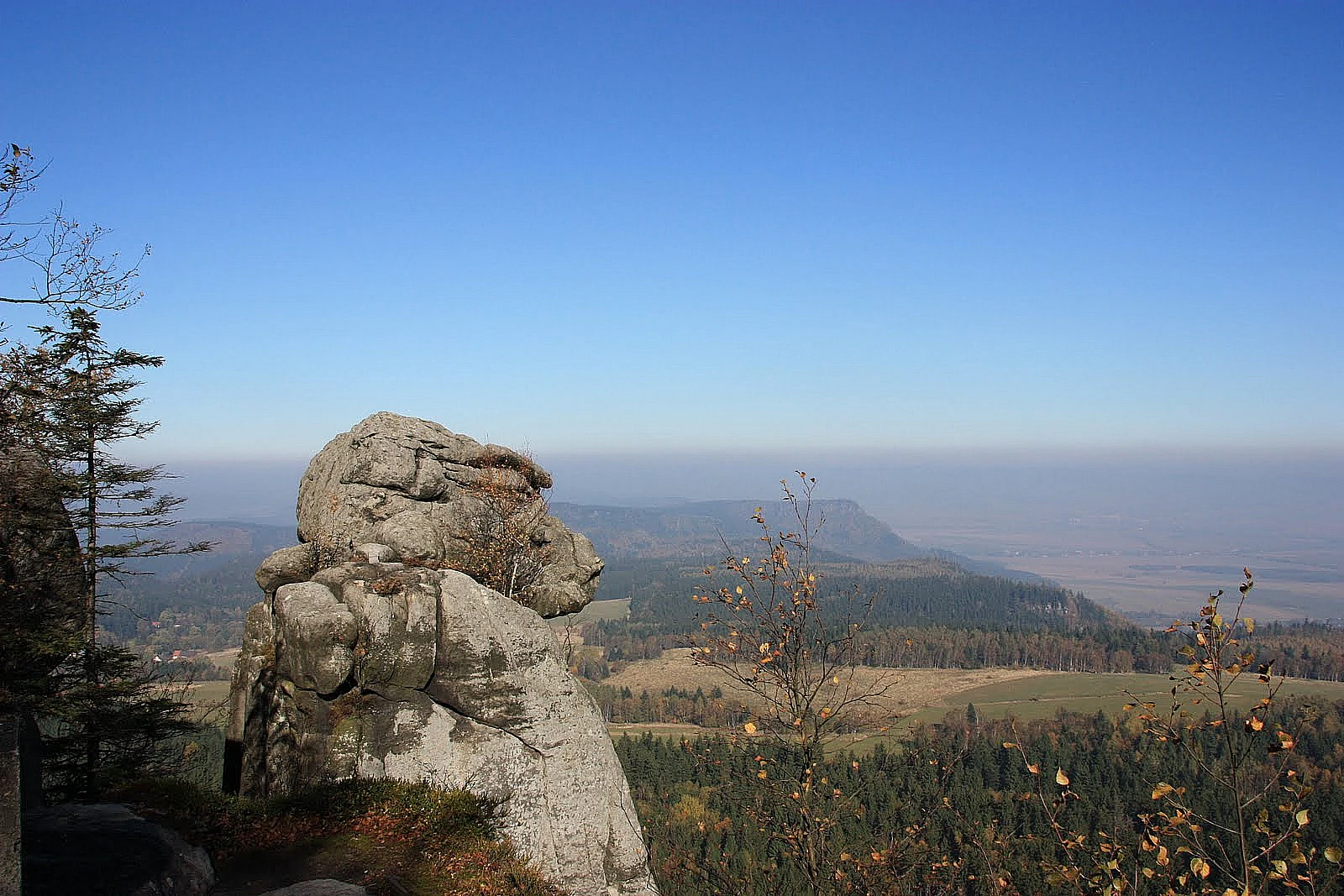 Rock formation shaped like a monkey's face overlooking a valley with trees and distant mountains under clear blue sky