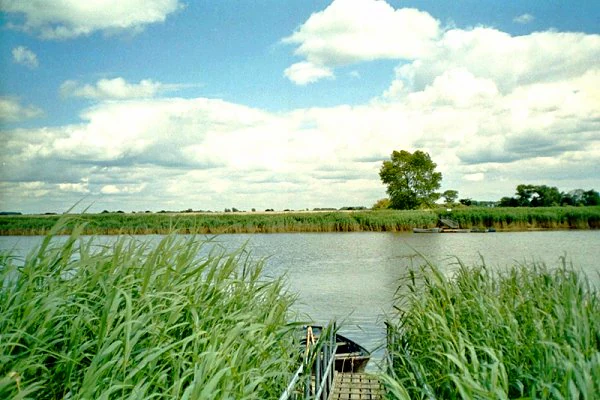 A view across the Weser river looking towards the green reed beds and flat grassland of Strohauser Plate, with a small wooden boat landing in the foreground.