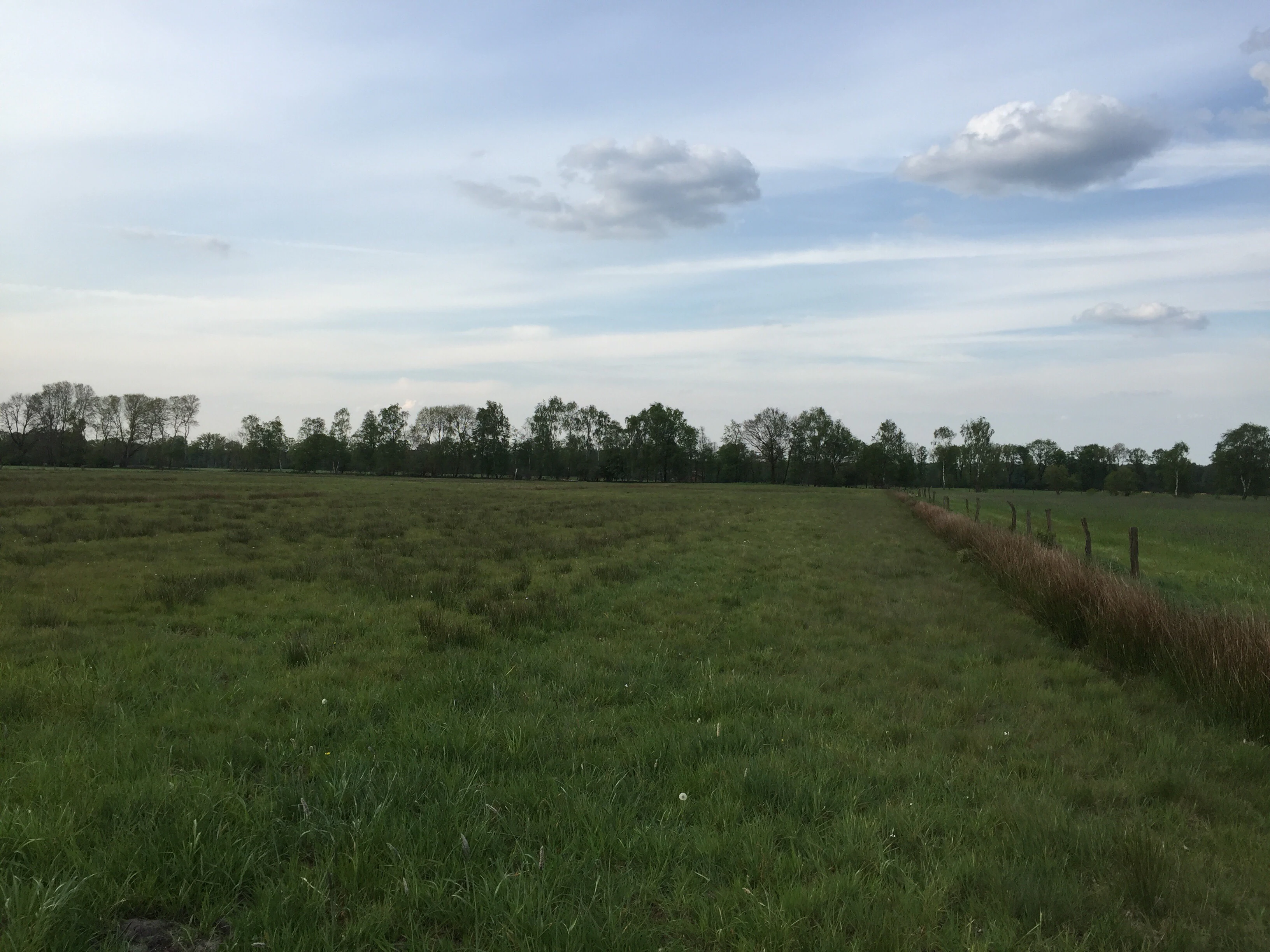 A wide, flat green meadow in Suddenmoor stretching to a distant treeline under a cloudy blue sky.