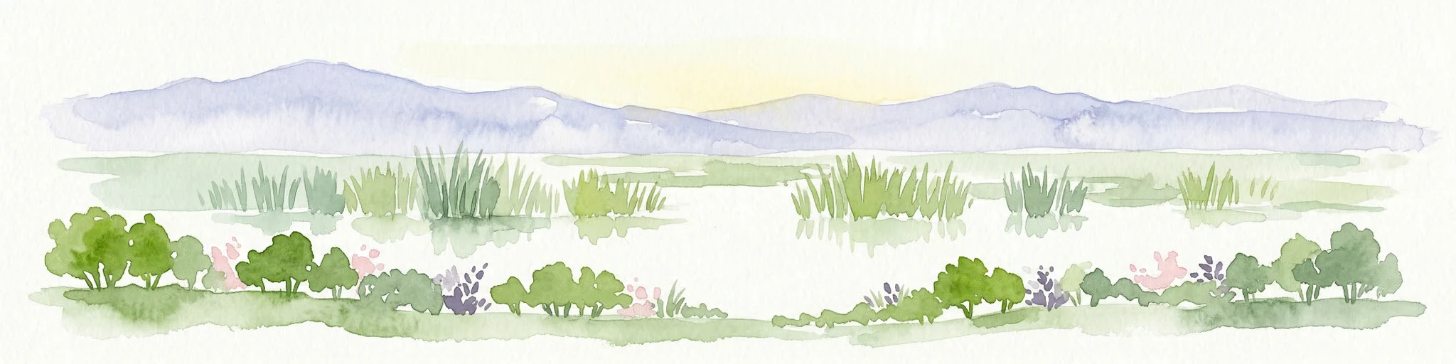 Ilustración de acuarela de un paisaje de humedal con montañas distantes, vegetación herbácea y agua en calma.