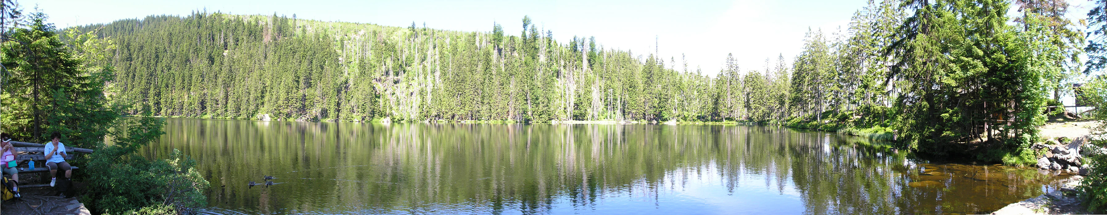Panoramic view of a calm lake surrounded by dense forest with a few people on a wooden platform on the left shore