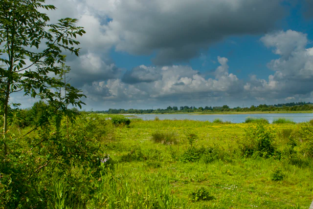 A wide landscape view of a green grassy field leading to a body of water under a sky filled with cumulus clouds.