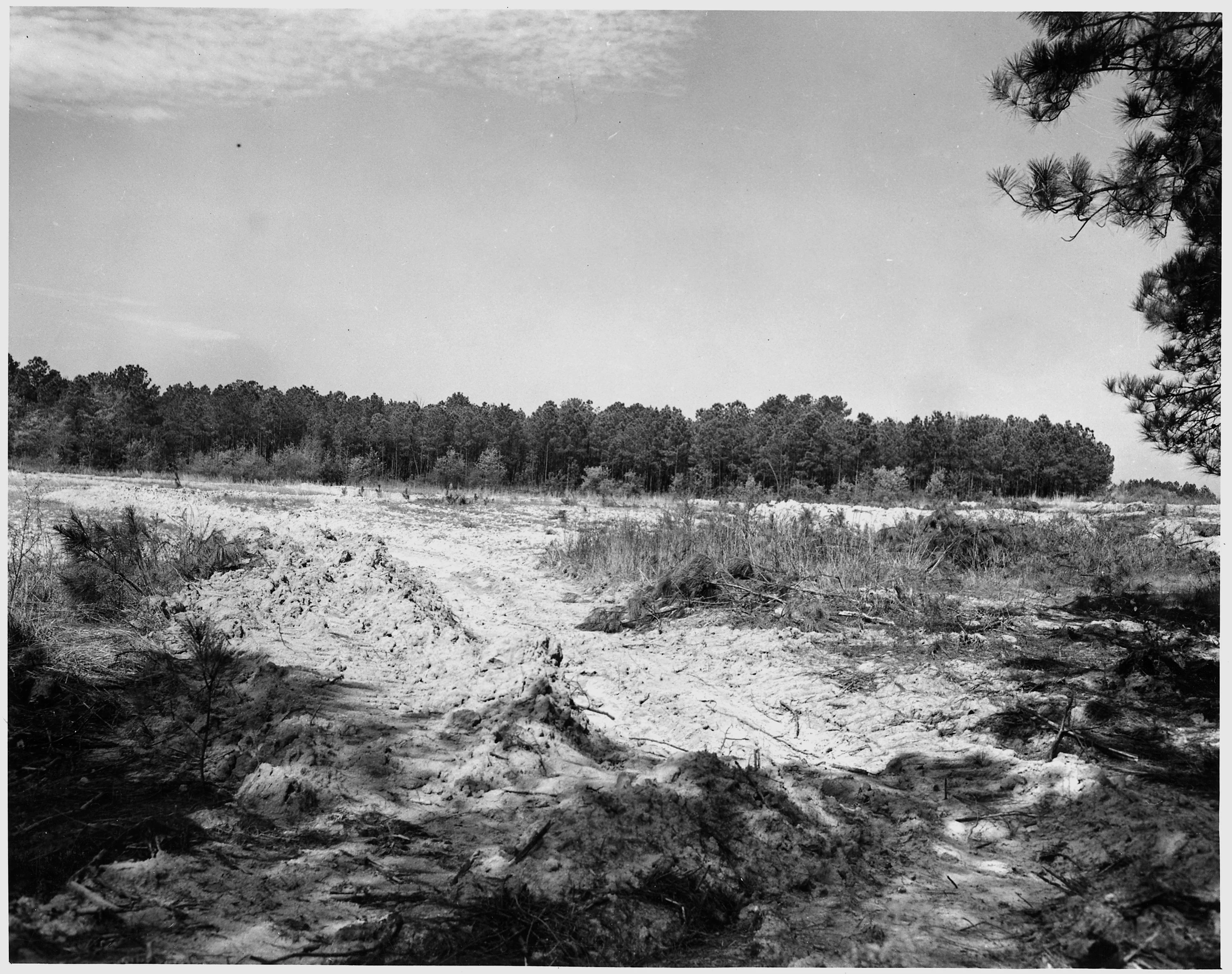 Black and white historical photograph of an open, sandy landscape with visible ground erosion and sparse vegetation, bordered by a dense treeline in the distance.
