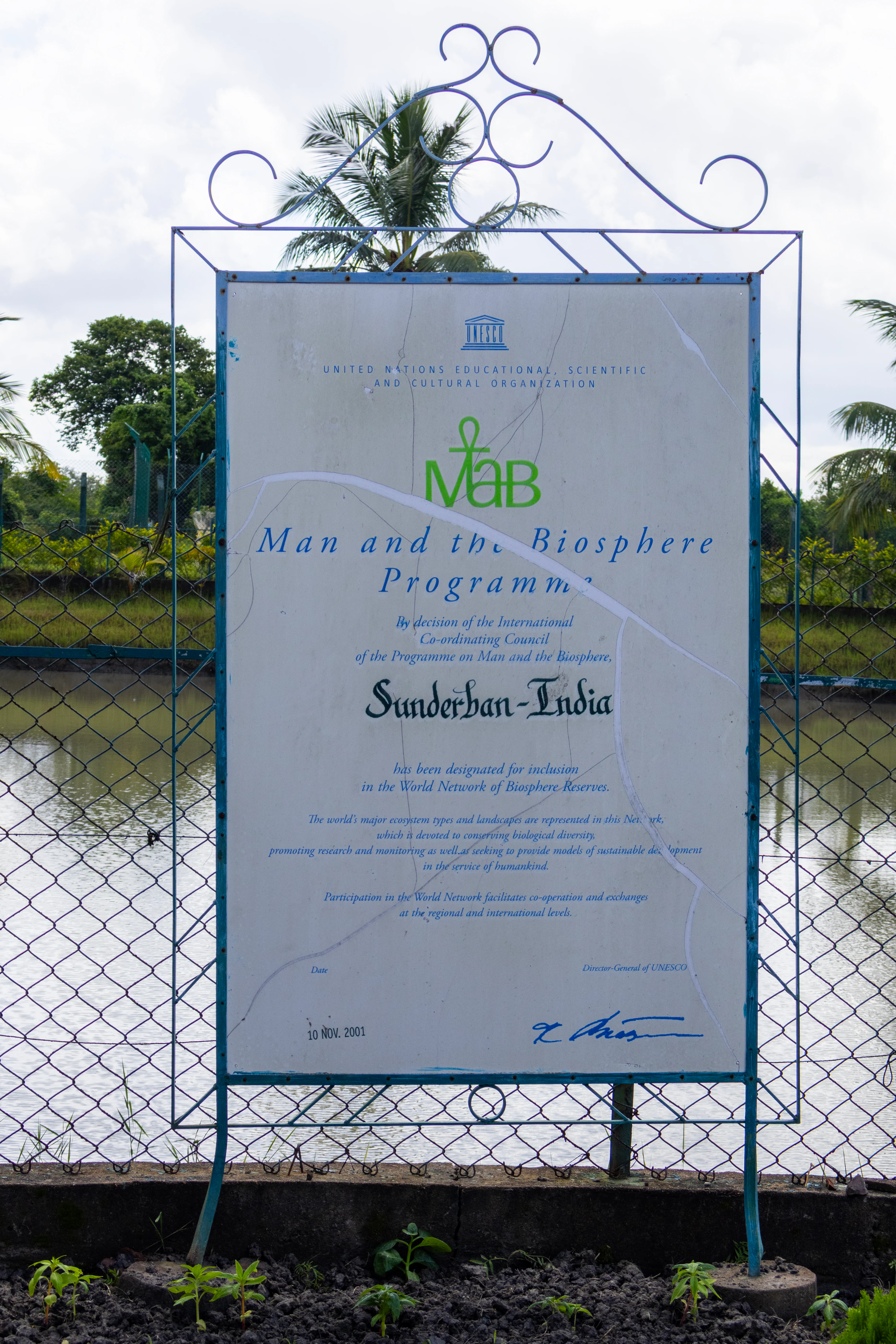 Cartel con el texto 'Programa "El Hombre y la Biosfera"' y 'Sunderban-India', montado en un marco metálico cerca de un cuerpo de agua con vegetación de manglares y palmeras al fondo