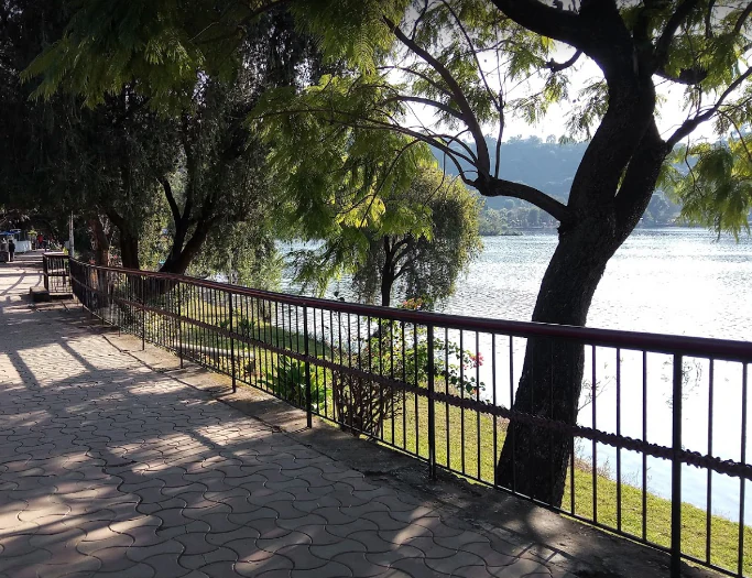 Un sendero pavimentado con una barandilla metálica a lo largo de la orilla de un lago, sombreado por árboles en un día despejado.