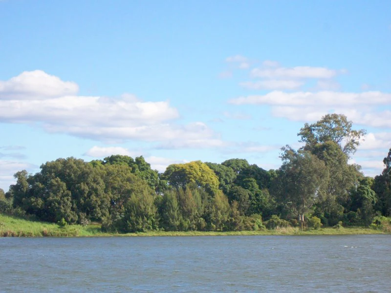 A wide outdoor shot of a river flowing in front of a dense, forested island under a clear blue sky with light clouds.