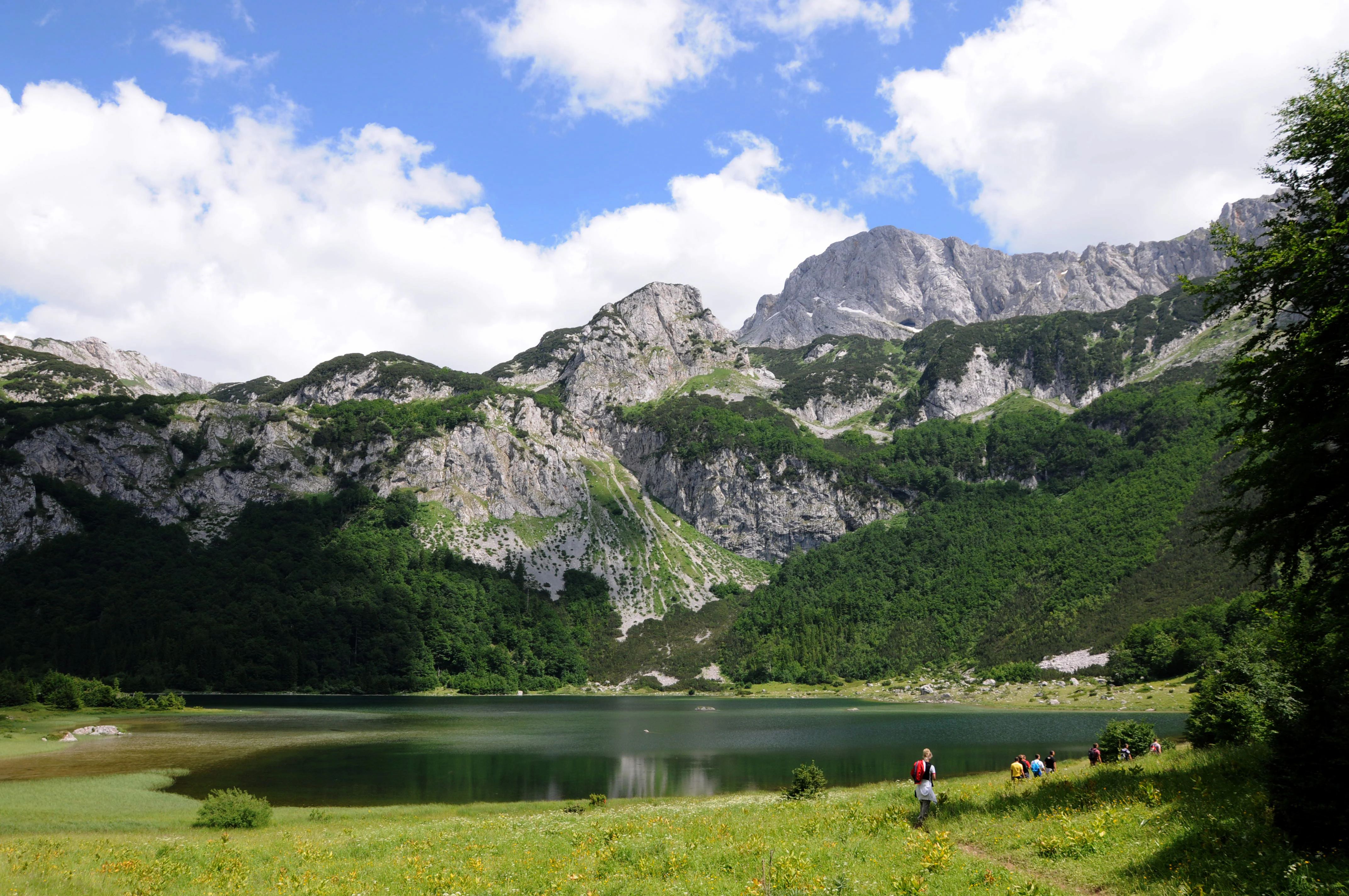 Trnovačko Lake with Maglić Mountain in background, surrounded by green meadows and forested hills under blue sky with white clouds