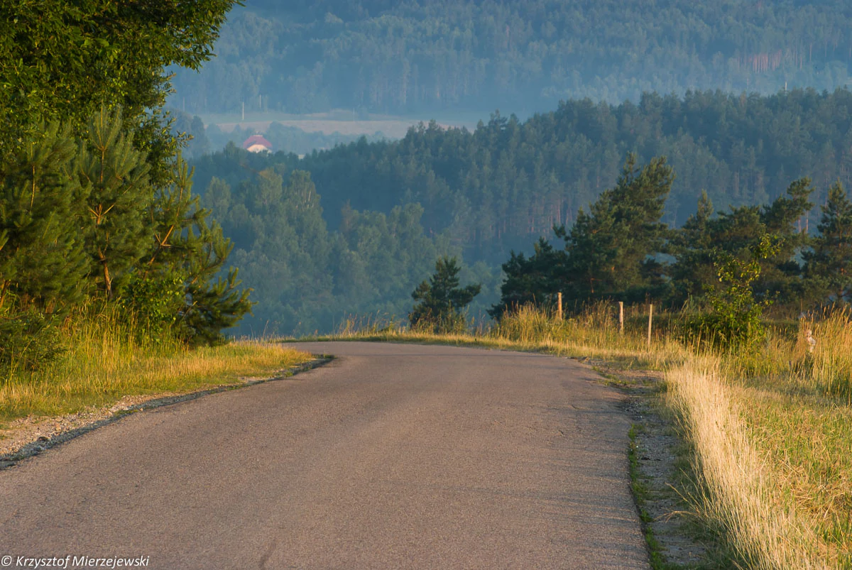 Una carretera pavimentada y sinuosa atraviesa un paisaje montañoso con hierbas altas, pinos y colinas boscosas onduladas al fondo bajo una luz suave.