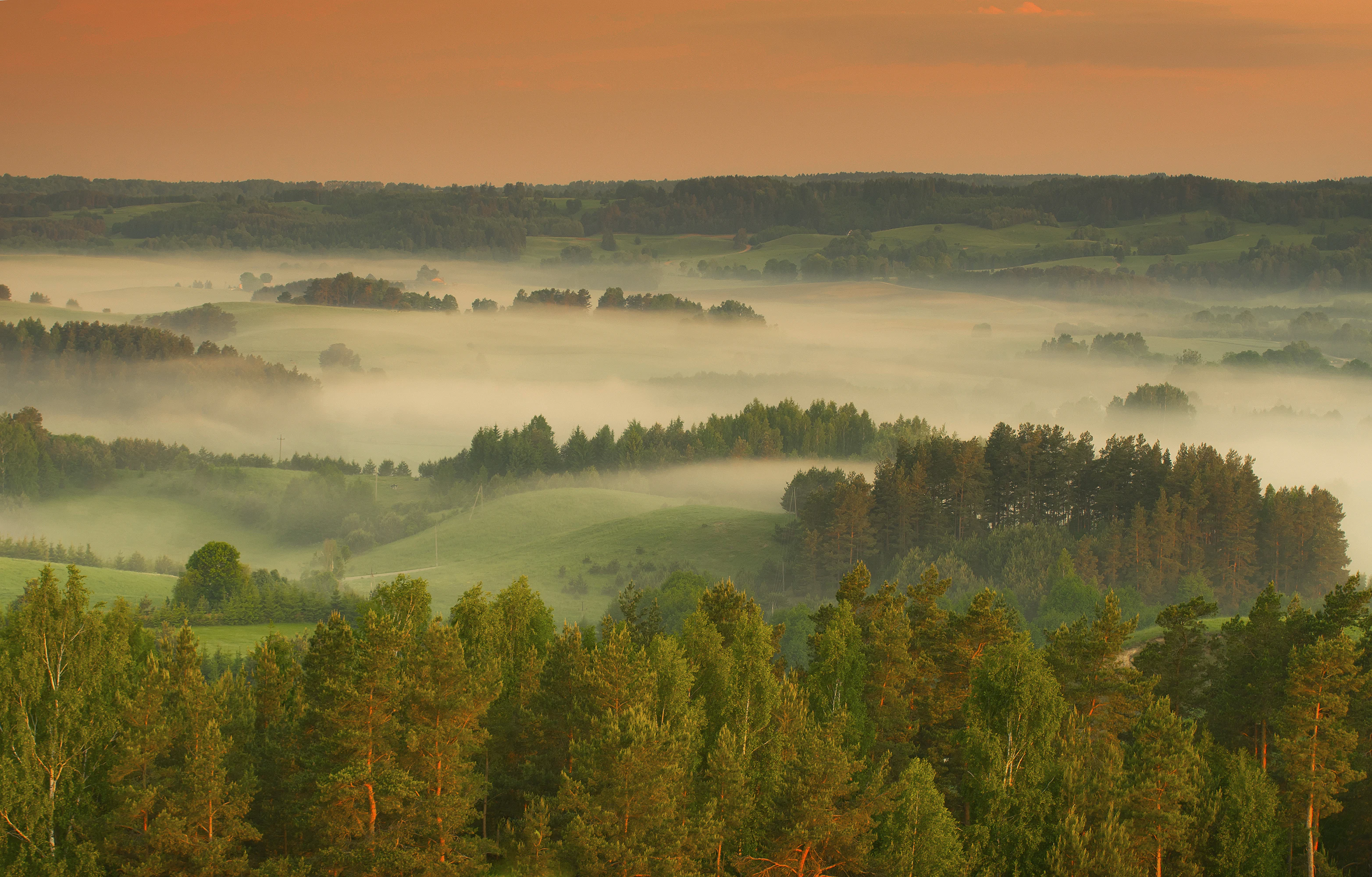 Paisaje panorámico de colinas onduladas y frondosos bosques verdes parcialmente ocultos por una densa niebla matinal bajo un cielo de suave amanecer anaranjado.