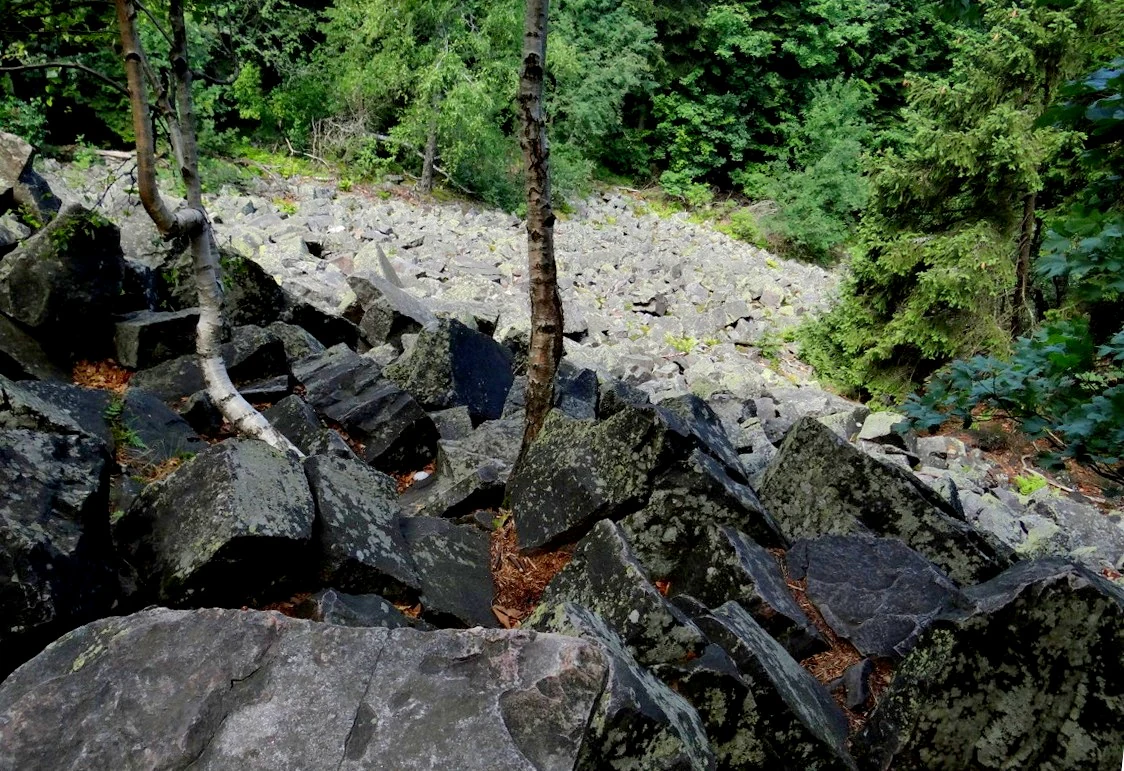 Una pendiente pronunciada cubierta de fragmentos sueltos de roca gris oscura, conocida como gołoborze, bordeada por un bosque denso con abedules y árboles de hoja perenne.