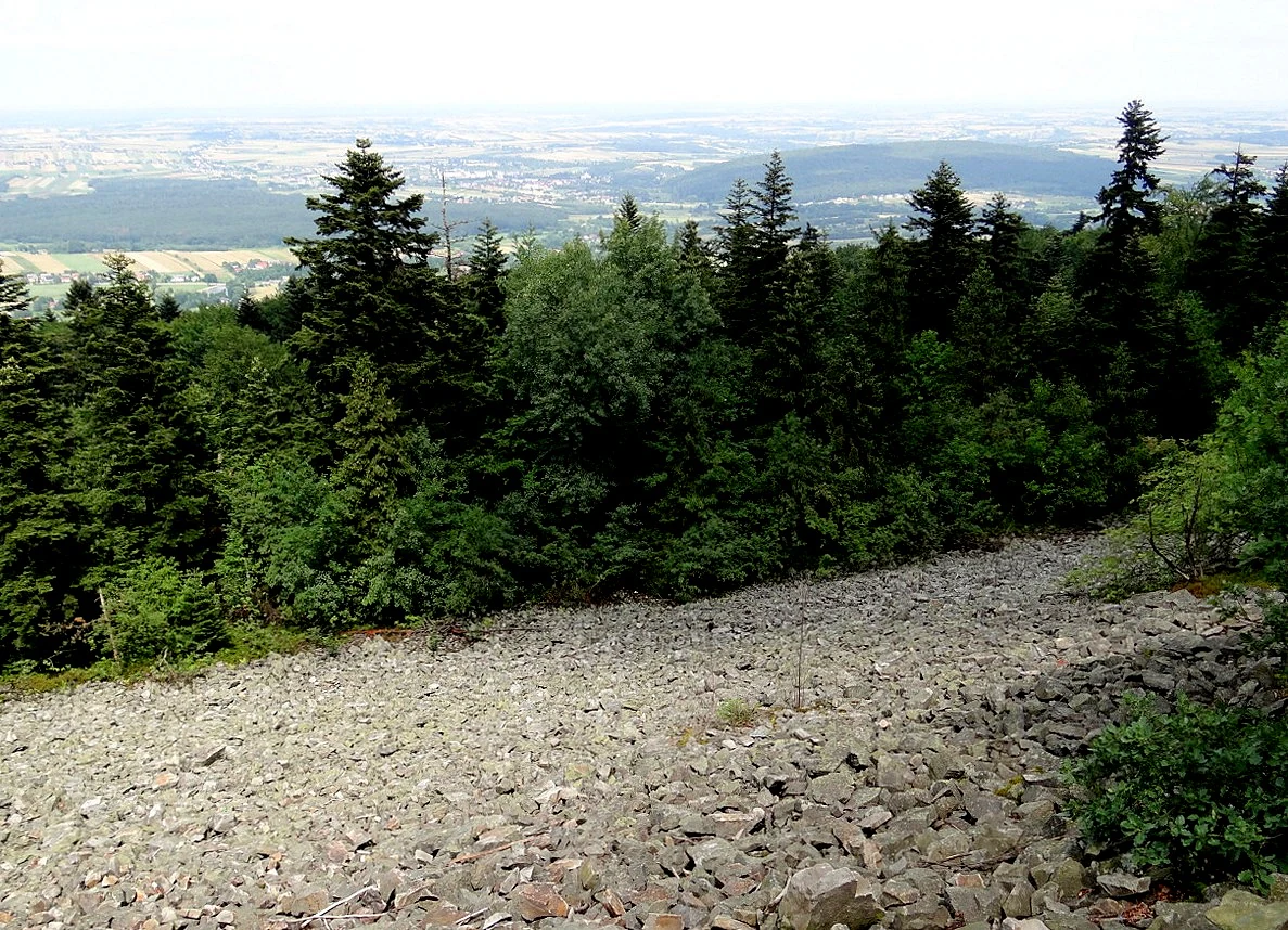 Gravelly and rocky terrain surrounded by dense evergreen forest with distant hills and valleys visible