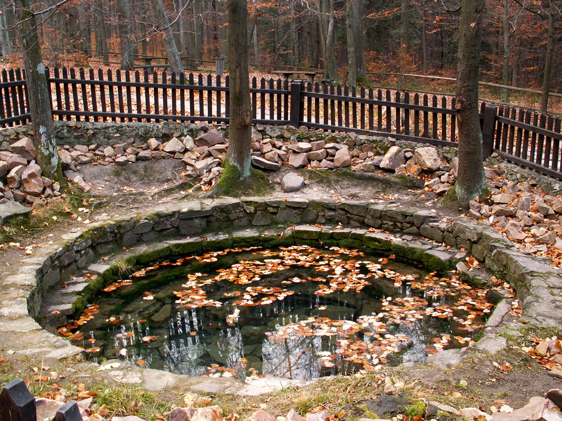 Stone-lined spring with floating leaves, surrounded by trees and a wooden fence