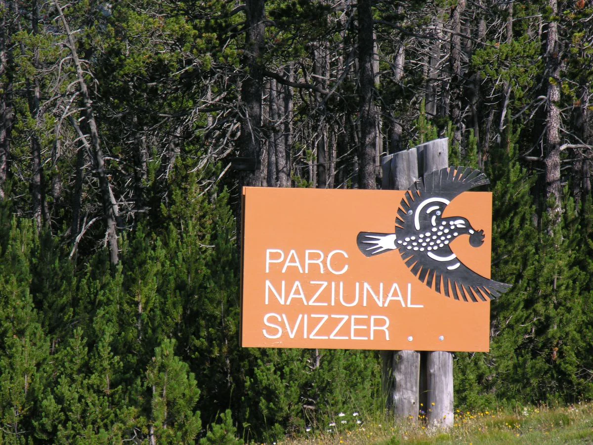 An orange rectangular sign for the Parc Naziunal Svizzer features an illustration of a bird and stands in front of a dense pine forest.