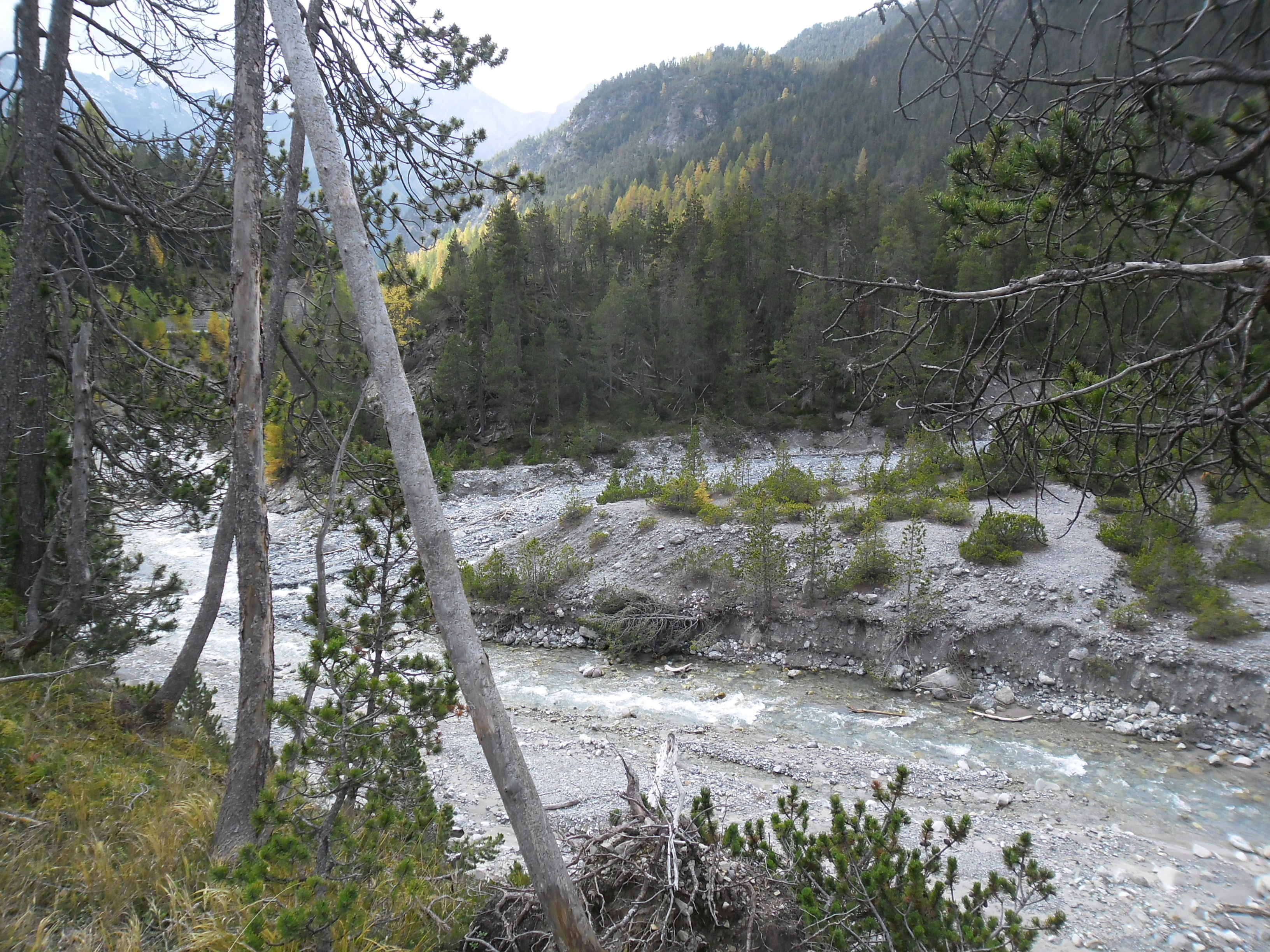 A view of the Spöl and Ova del Fuorn river confluence in the Swiss National Park, featuring a rocky riverbed, evergreen forest, and rugged mountain slopes.
