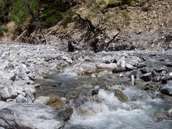 A clear, shallow mountain stream with gray rocks and stones along its bed, set against a steep, partially vegetated slope.