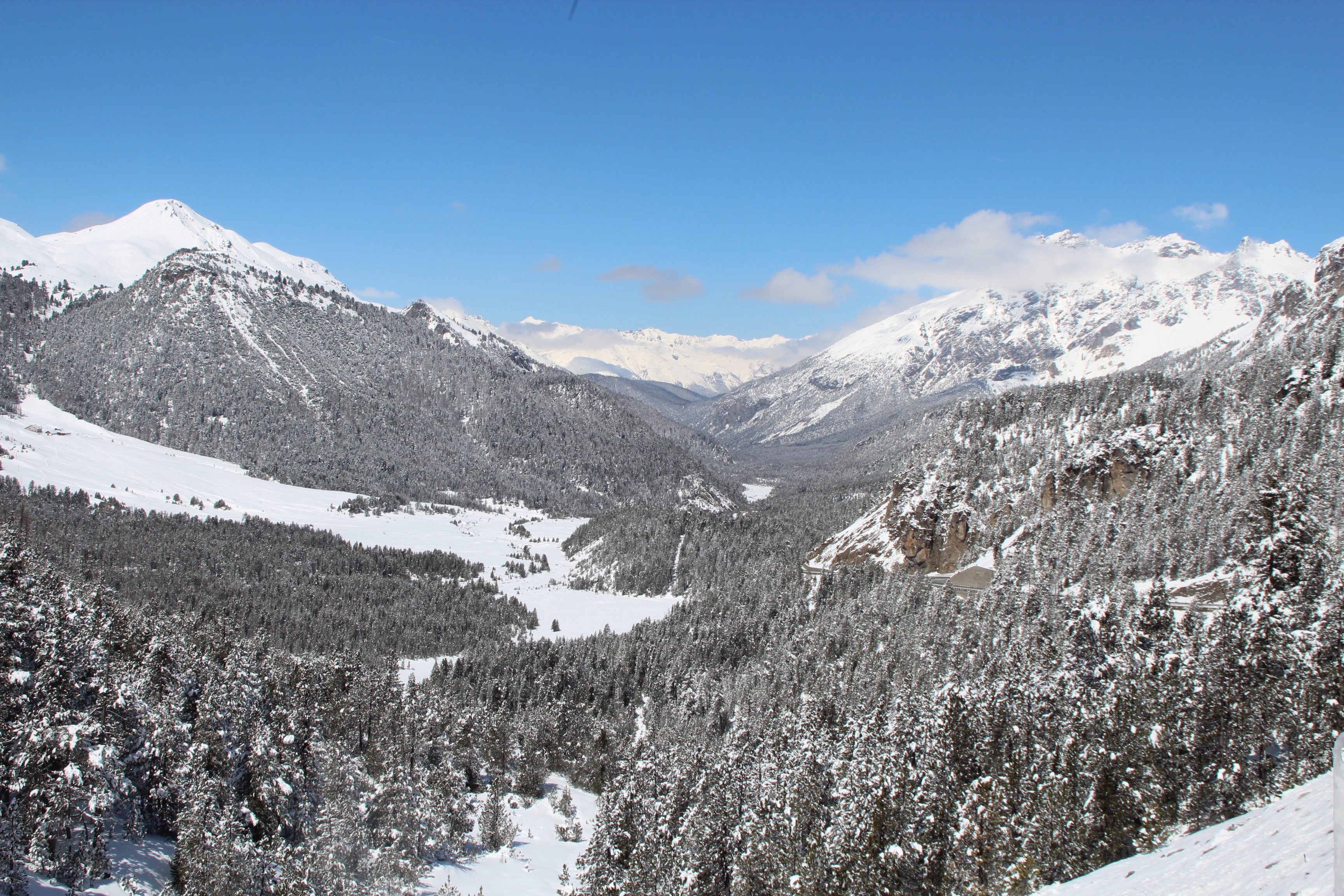 Wide panoramic view of a snow-covered mountain valley with evergreen forests and snow-capped peaks under a clear blue sky.