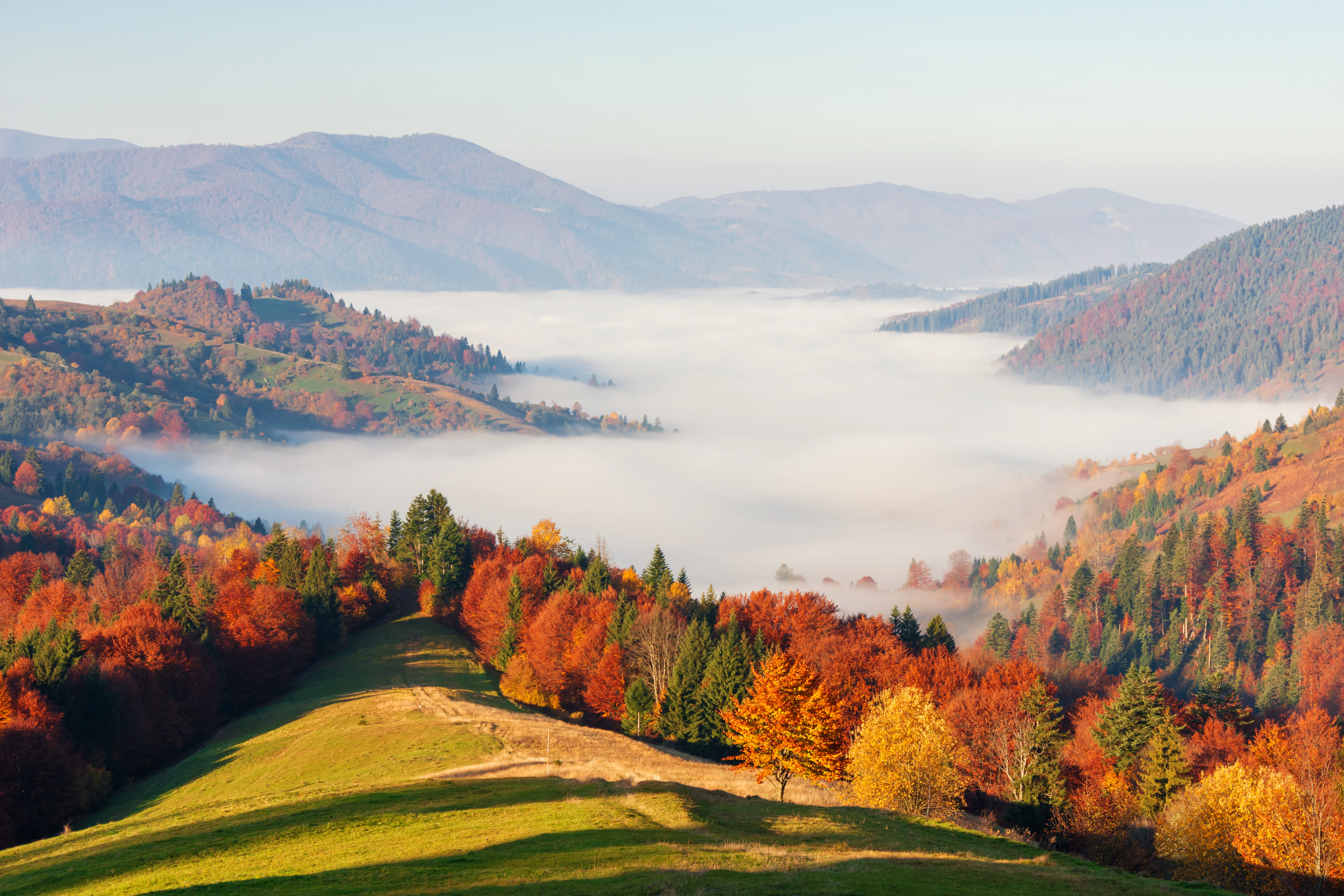 Autumnal hills with dense forests and fog in the valley, mountains in the background